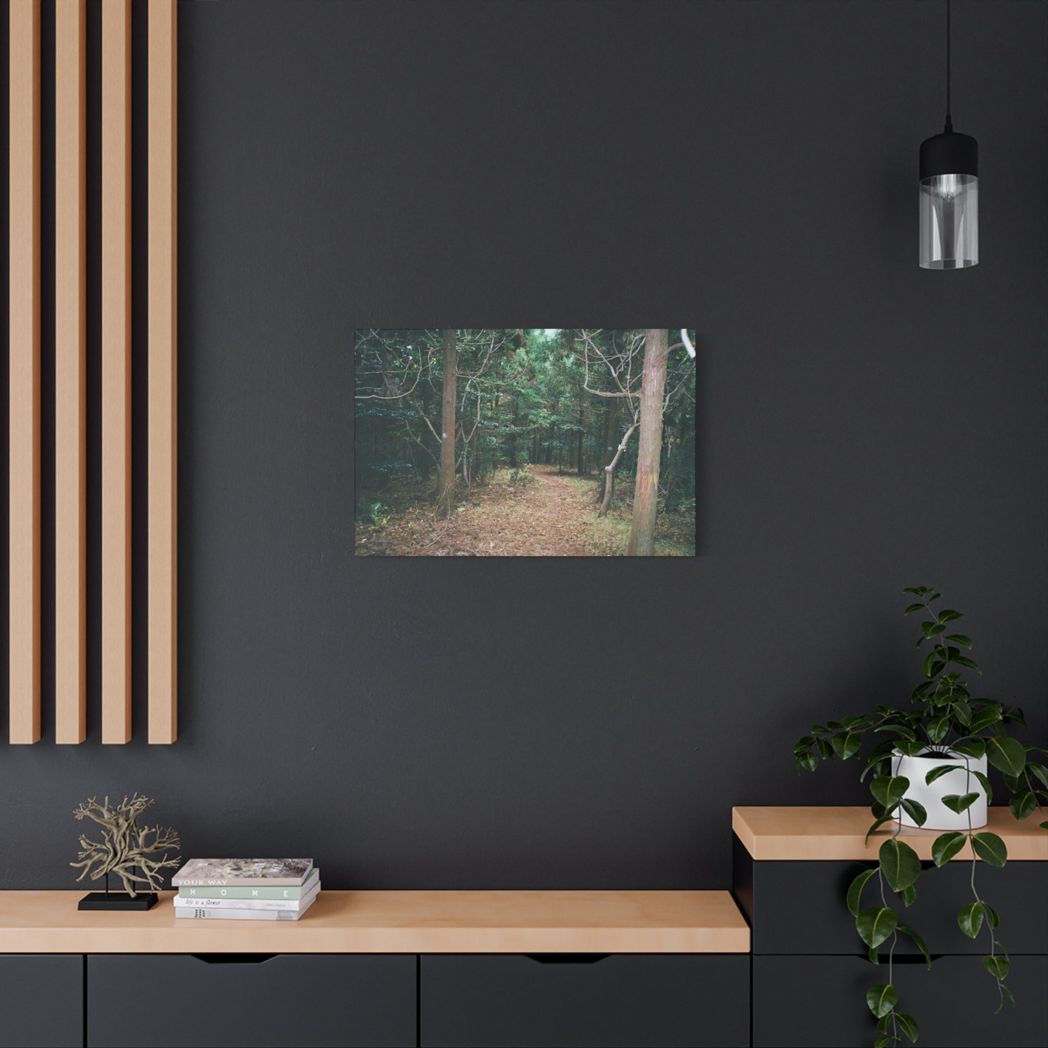 Jeju Winter Oreum Forest Canvas Print