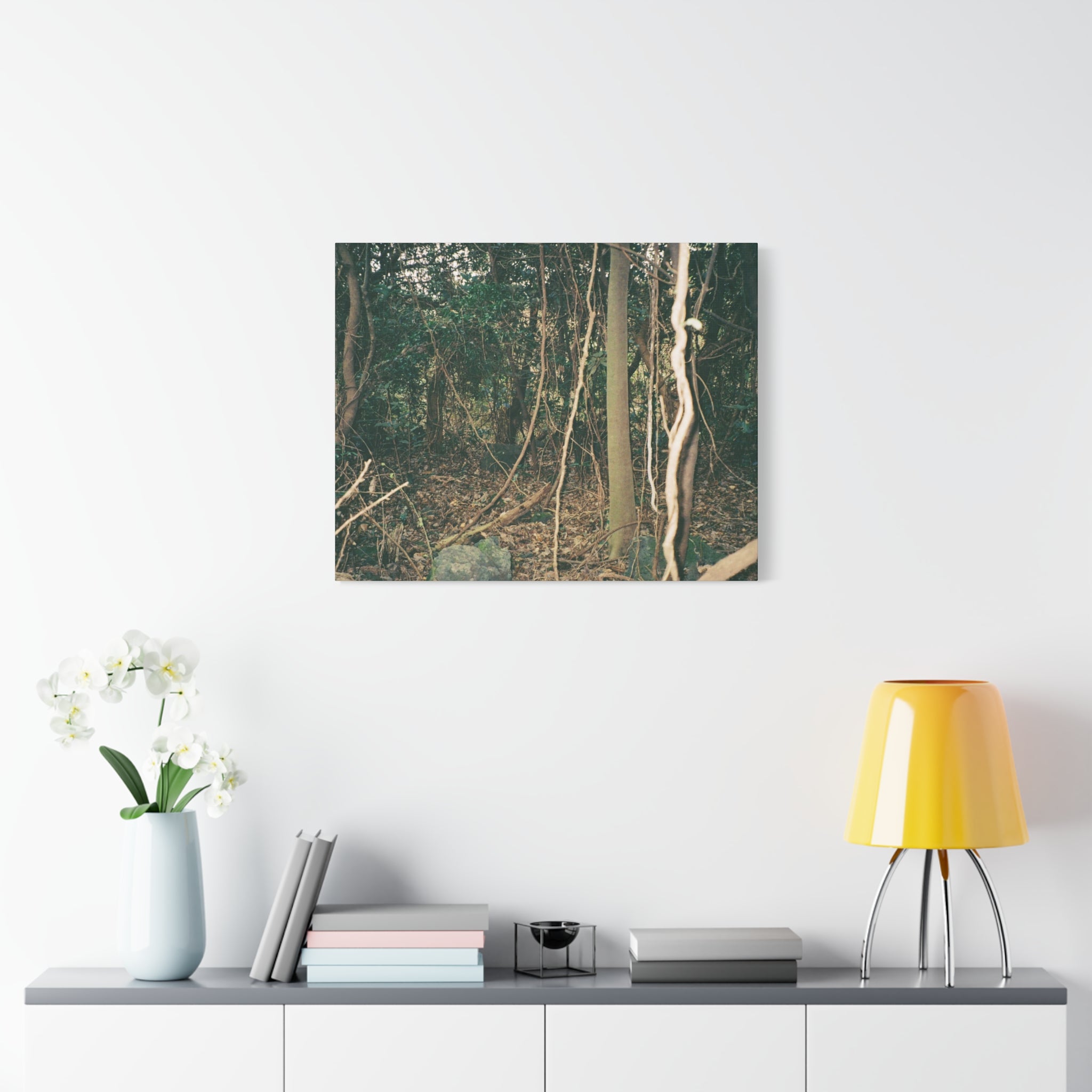 Jeju Gotjawal Forest Canvas Print