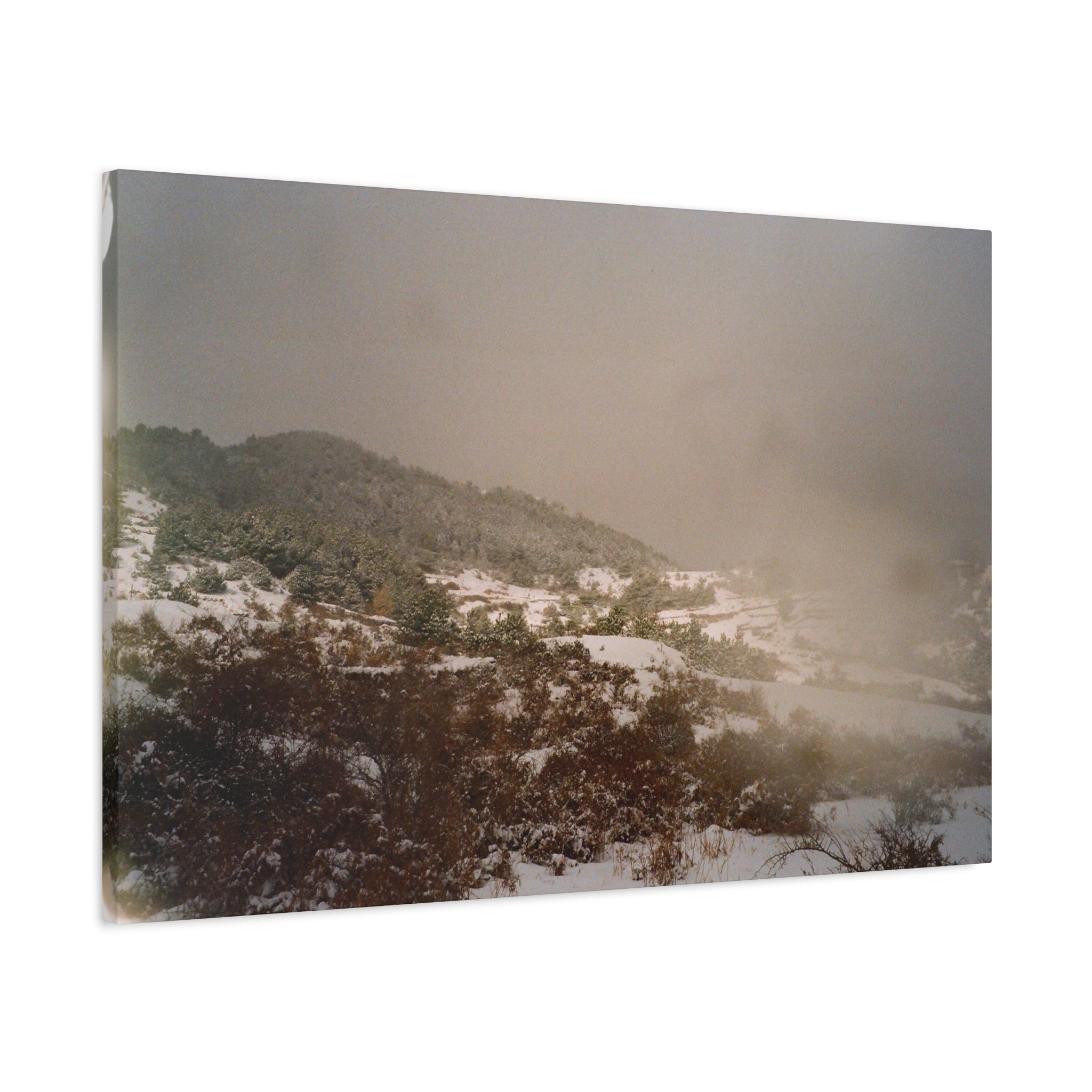 Jeju Snowy Oreum Winter Canvas Print — Evergreen Pine Forest on Snowy Day (Matte Stretched)