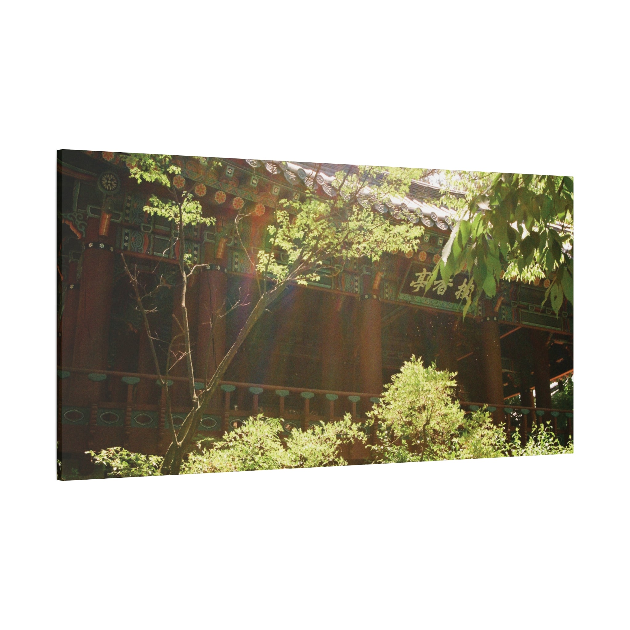 Korean Hanok Spring Sunshine Canvas Print
