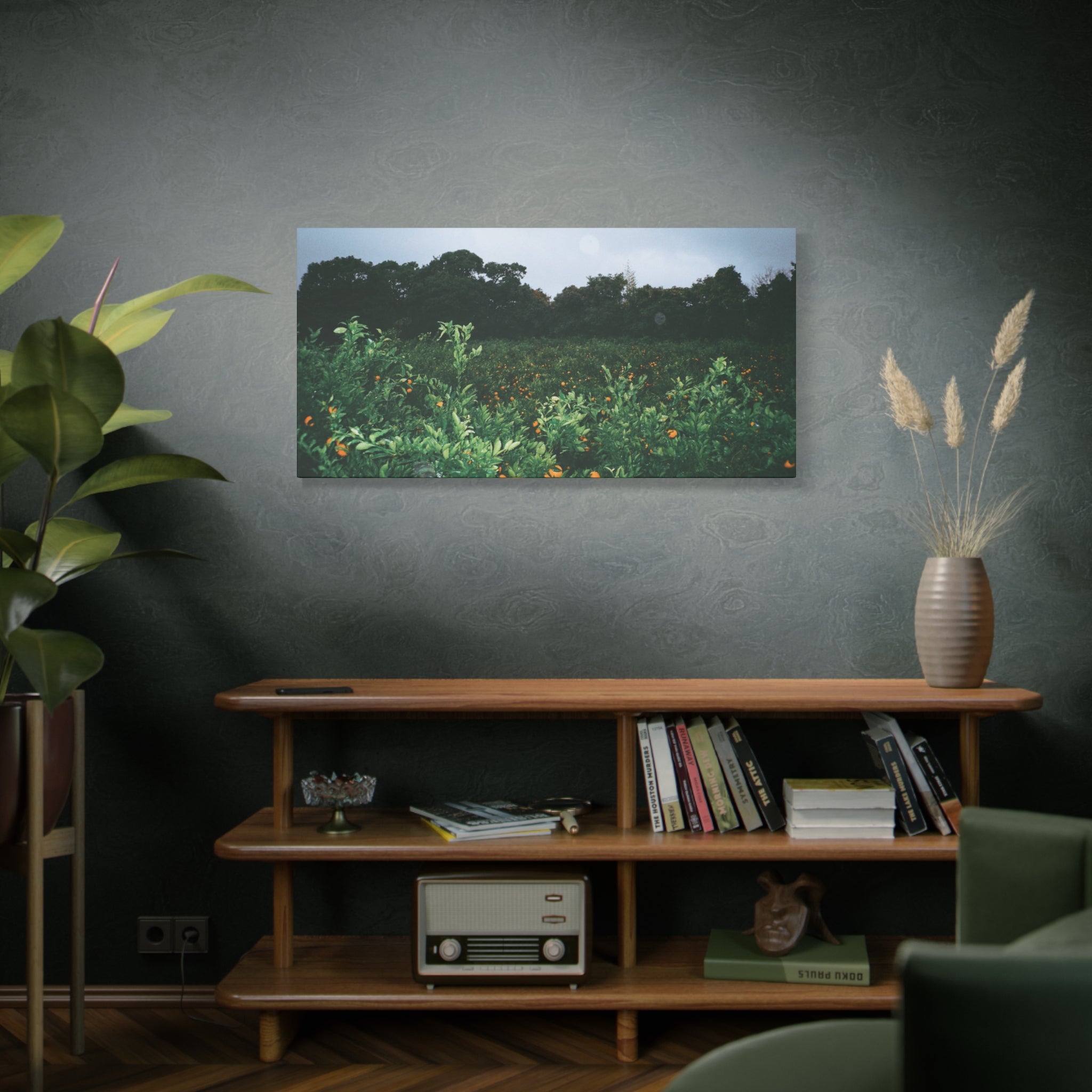 Jeju Winter Snowy Tangerine Orchard Canvas Print