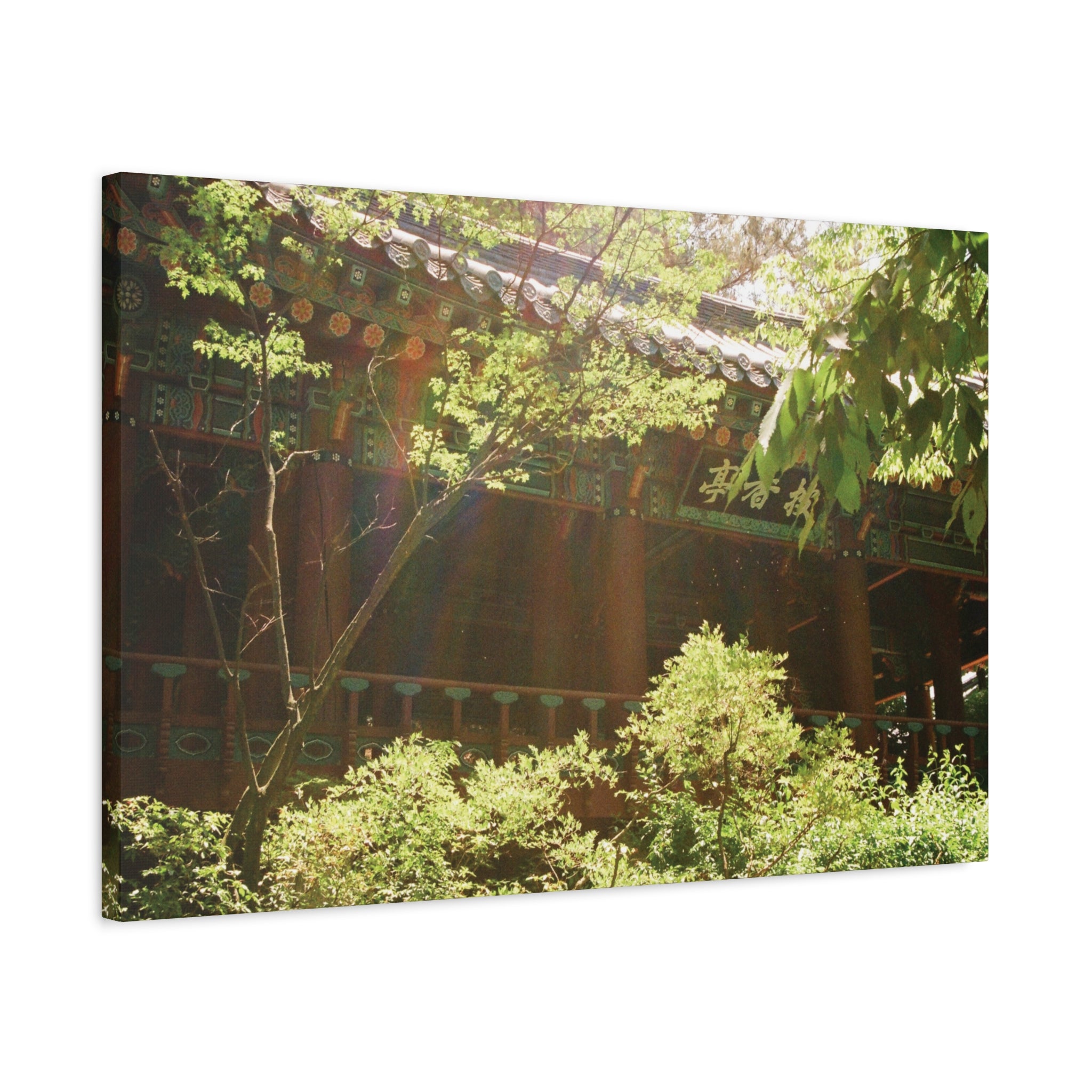 Korean Hanok Spring Sunshine Canvas Print
