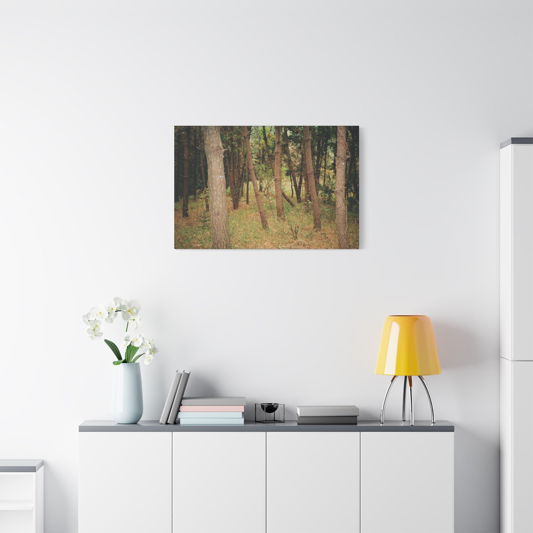 Jeju Gungdae Oreum Forest Canvas Print