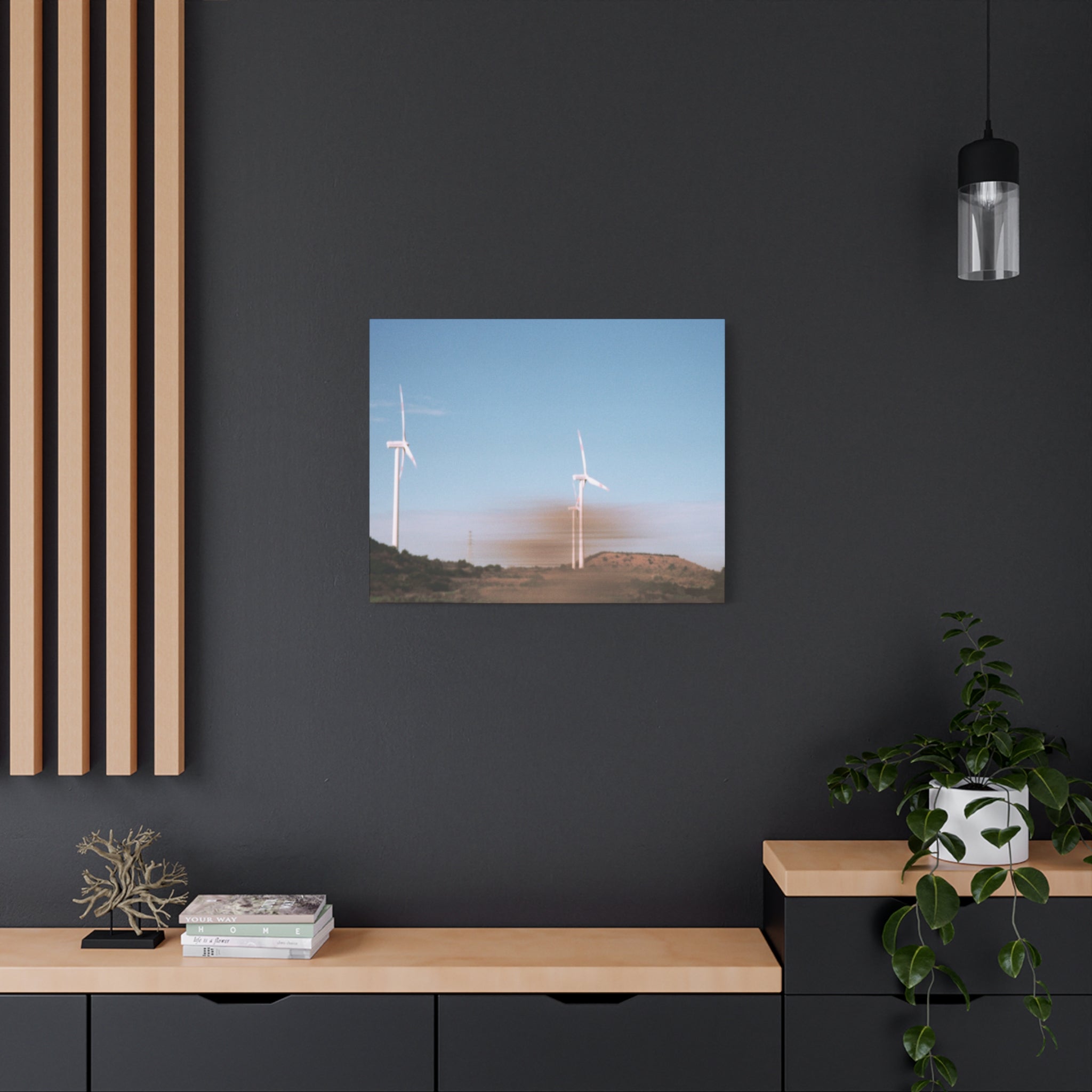Jeju Winter Silver Grass Canvas Print