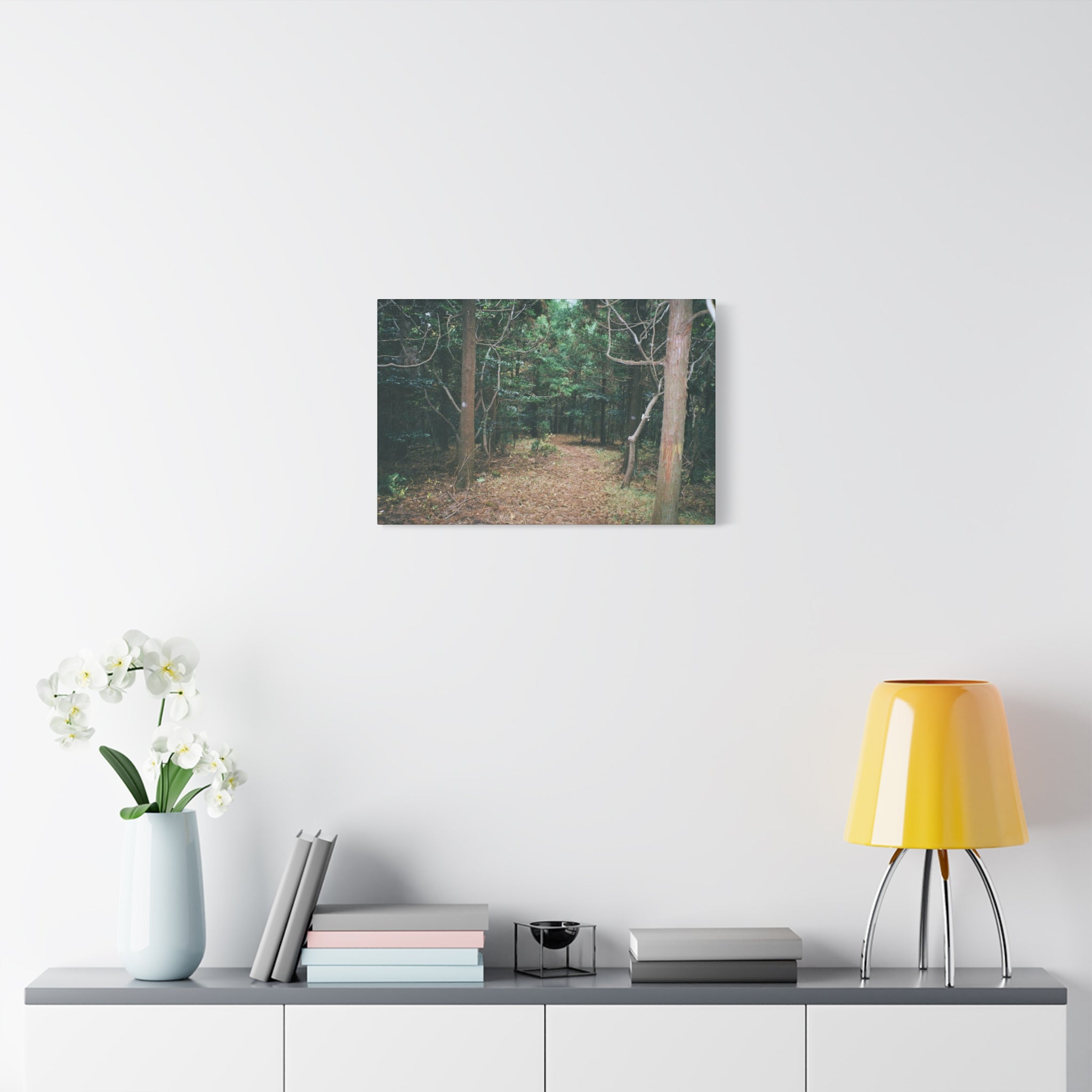 Jeju Winter Oreum Forest Canvas Print
