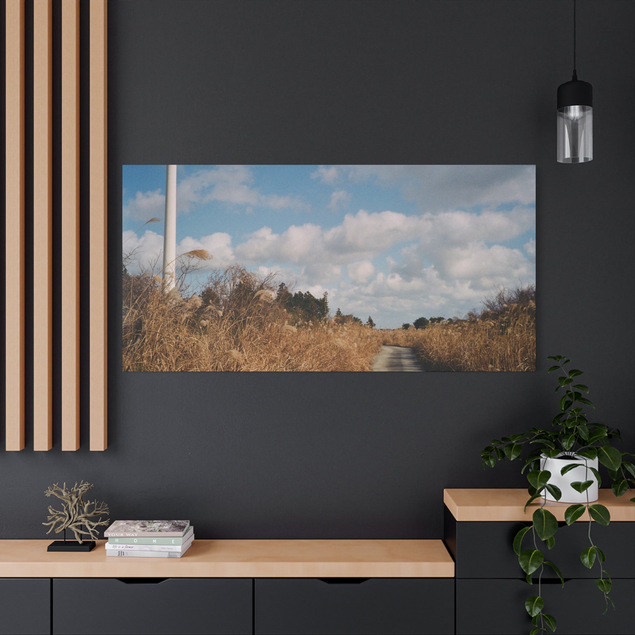 Jeju Gotjawal Winter Silver Grass Canvas Print