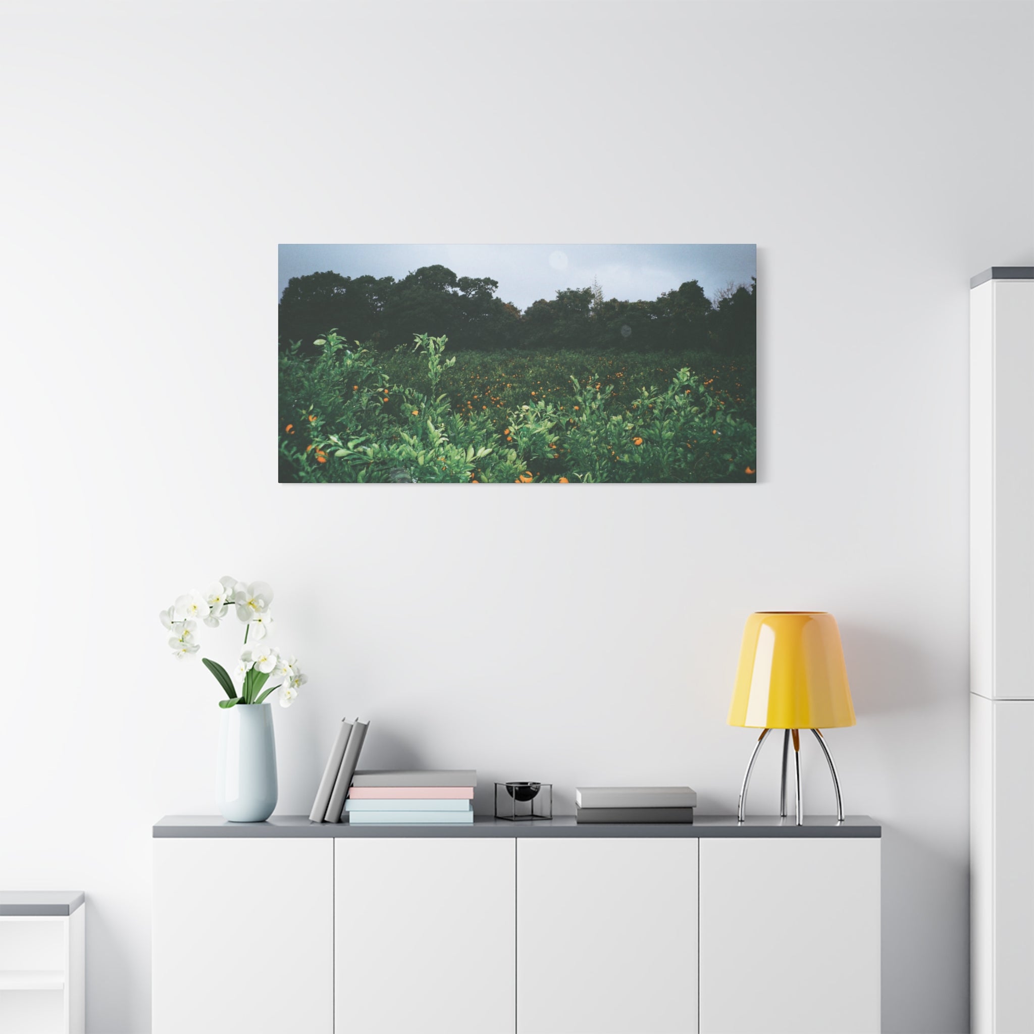 Jeju Winter Snowy Tangerine Orchard Canvas Print