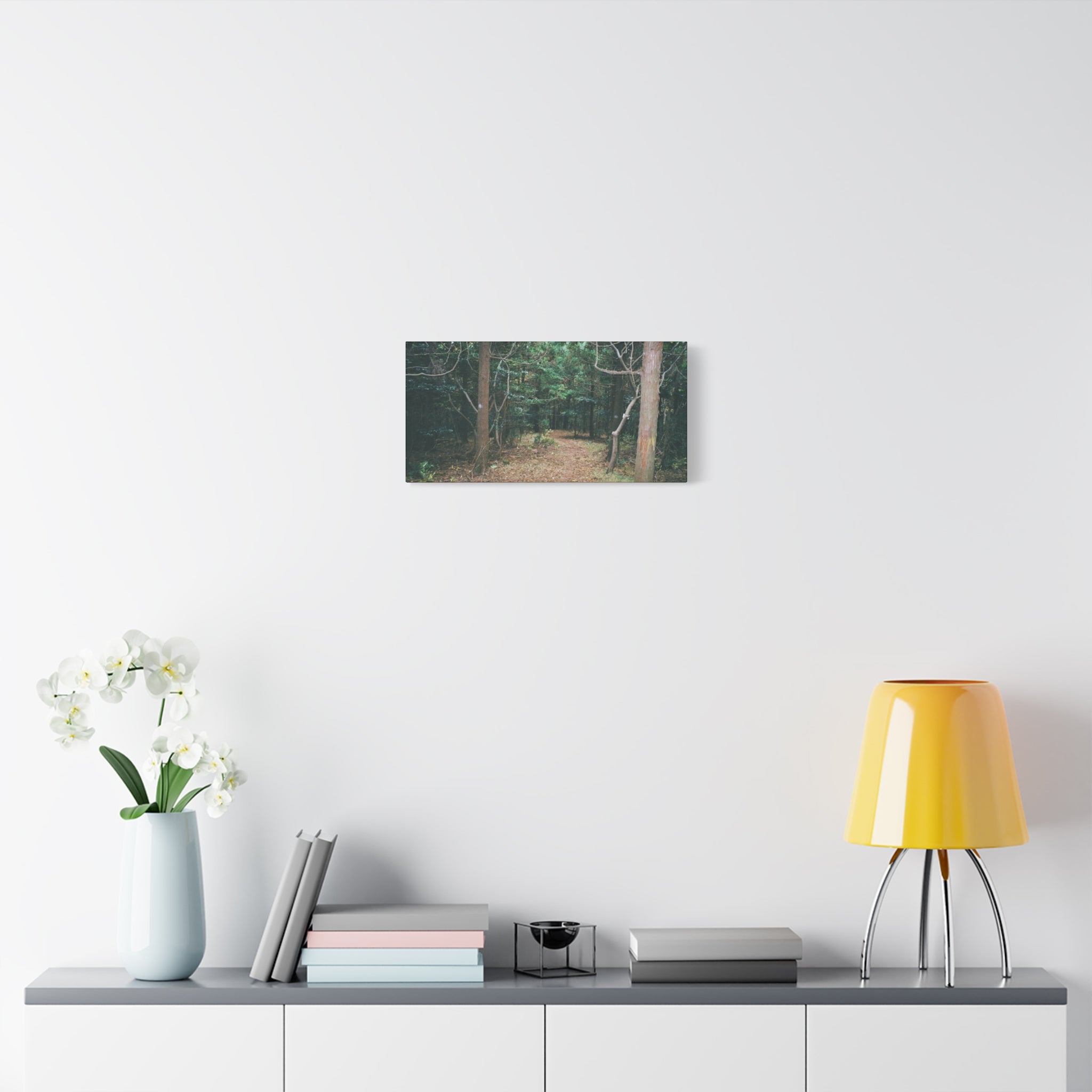 Jeju Winter Oreum Forest Canvas Print