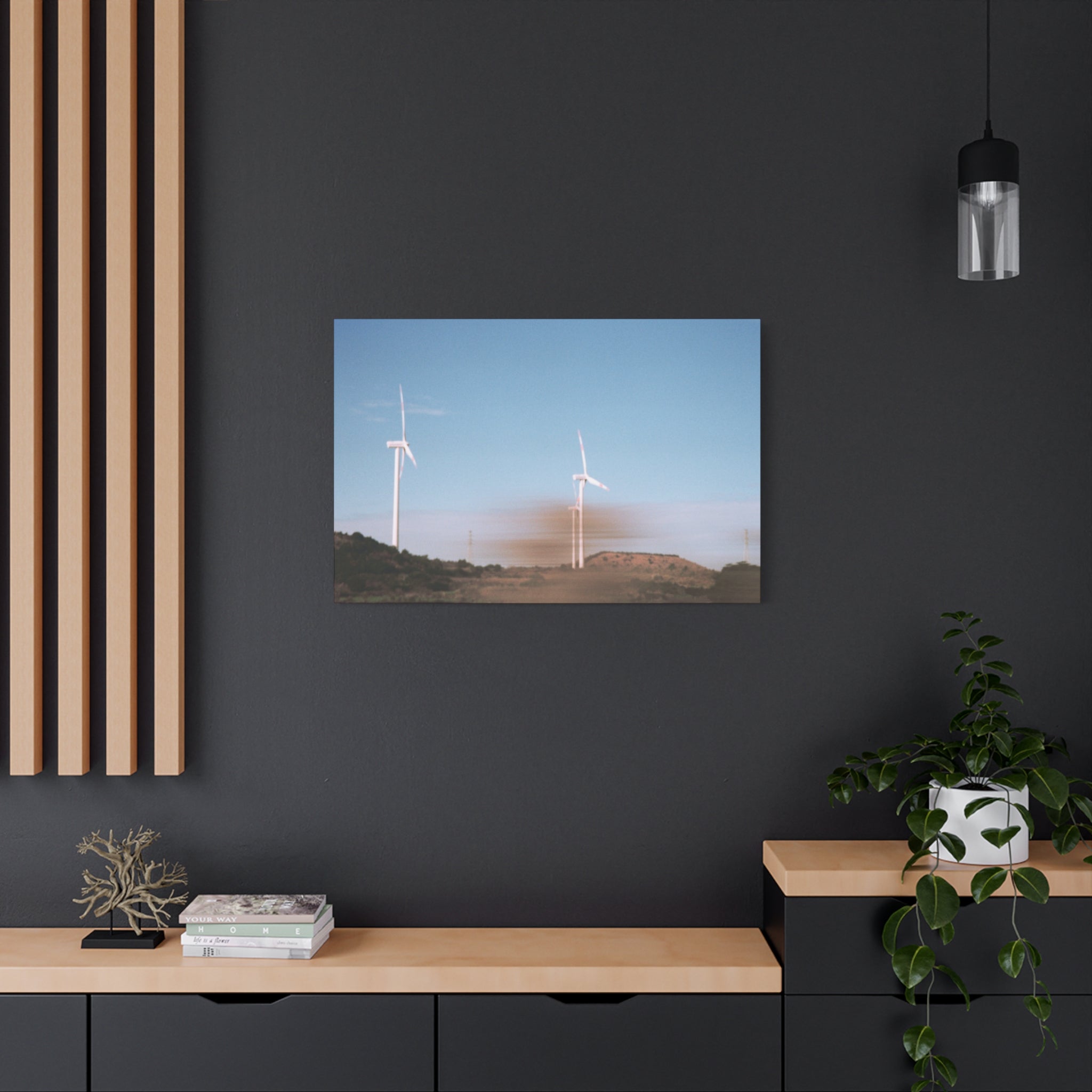 Jeju Winter Silver Grass Canvas Print