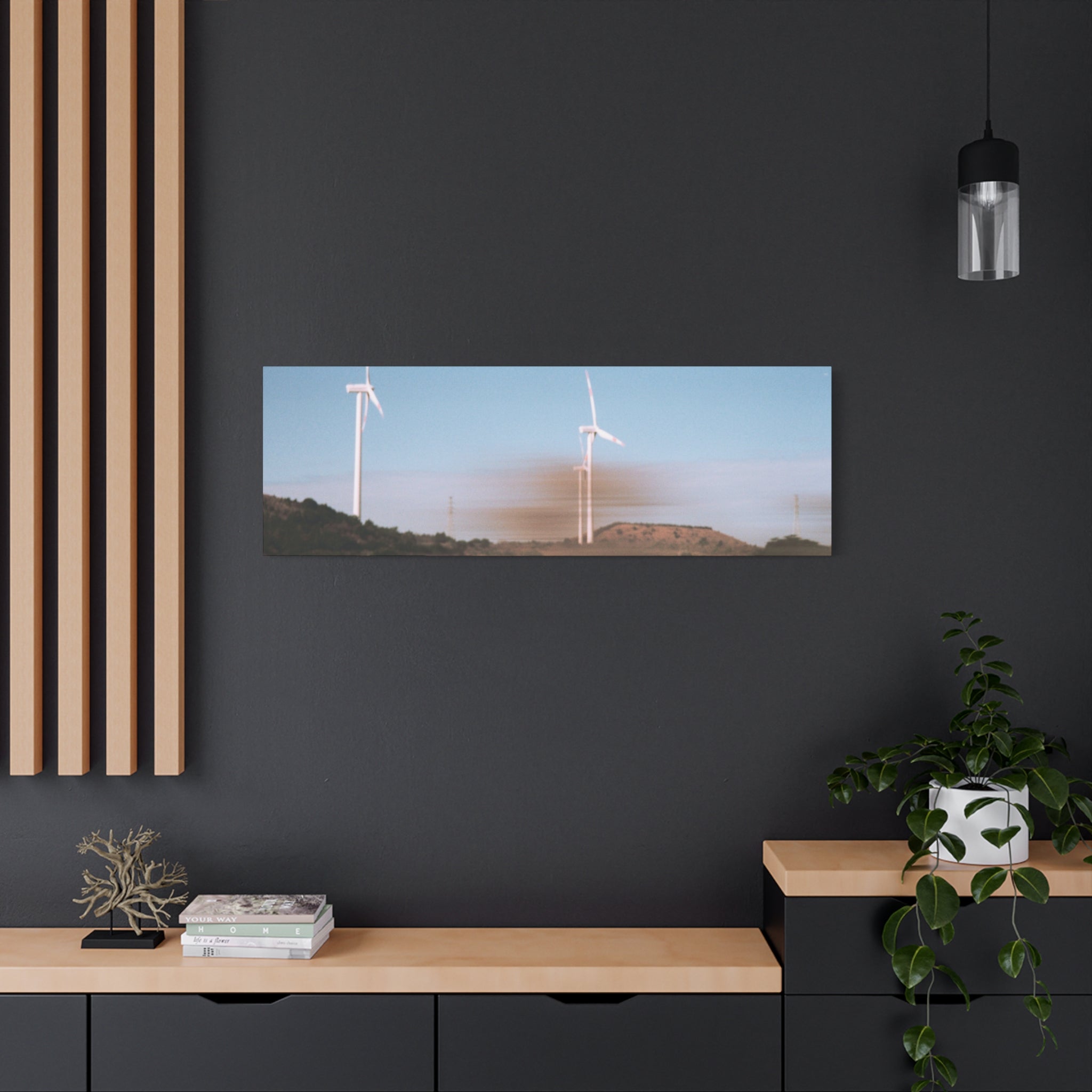 Jeju Winter Silver Grass Canvas Print
