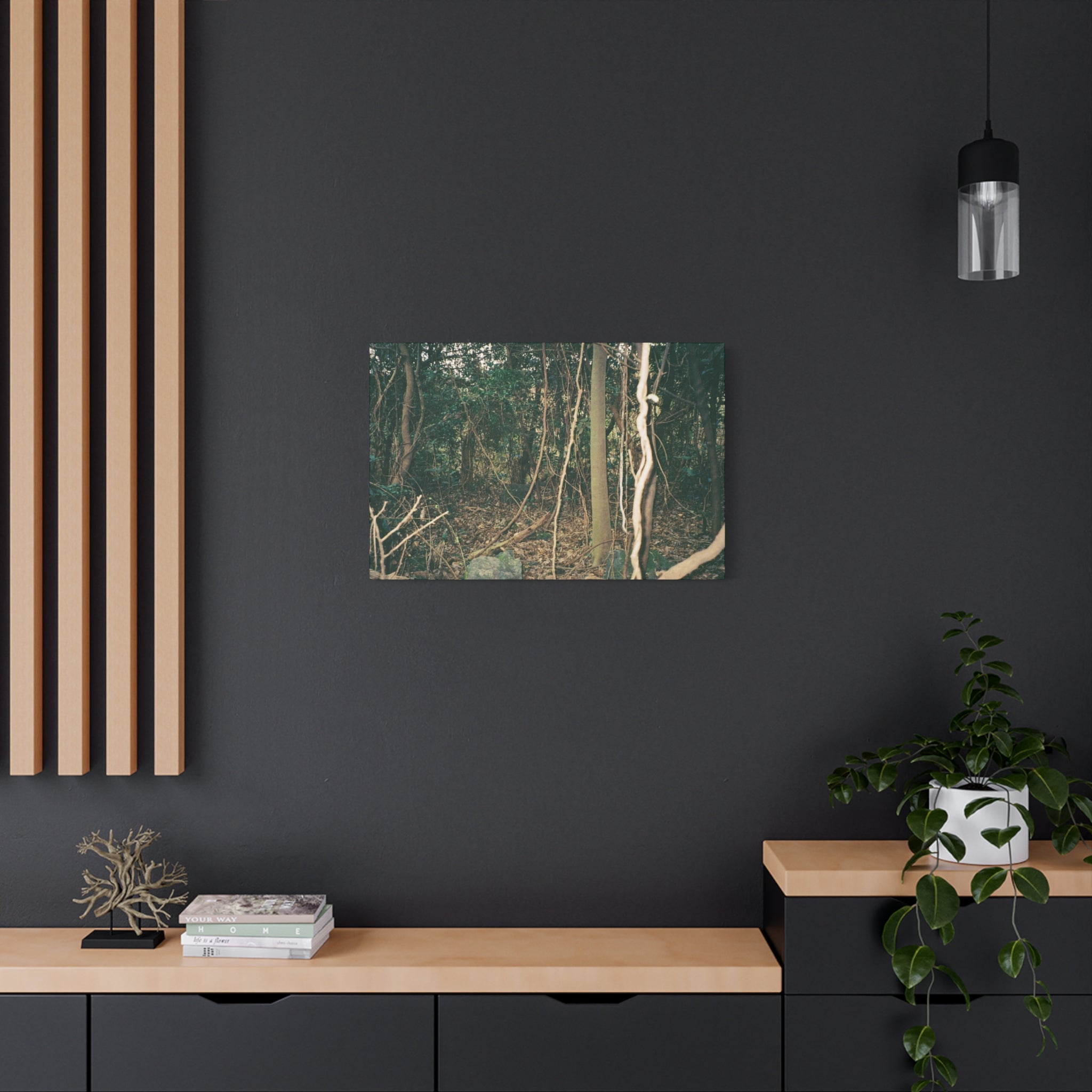 Jeju Gotjawal Forest Canvas Print