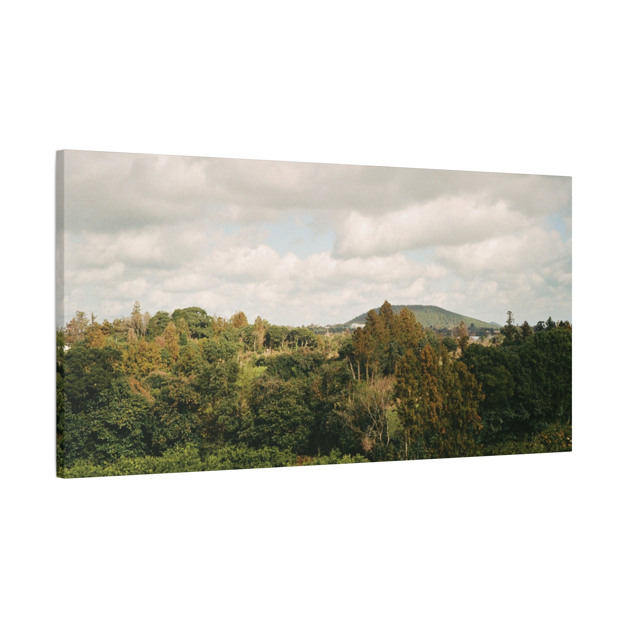 Jeju Wind-Swept Oreum and Clouds Canvas Print
