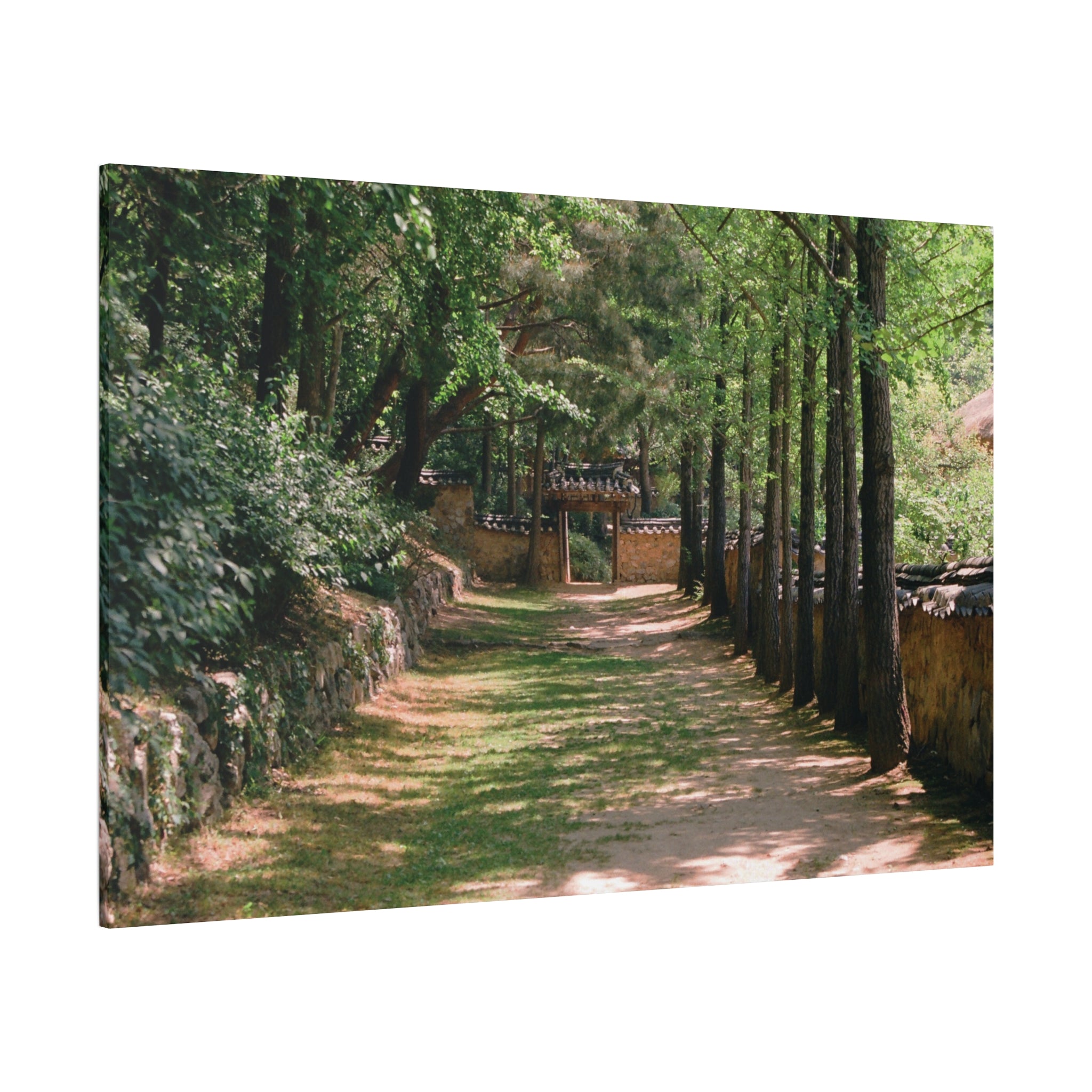 Korean Yongin Folk Village Hanok Lane Canvas Print