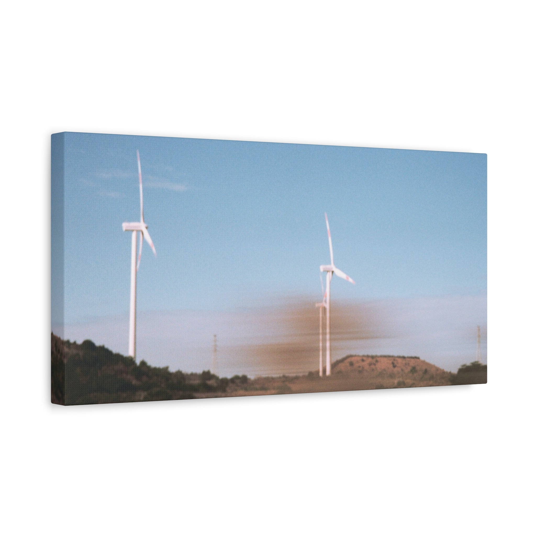 Jeju Winter Silver Grass Canvas Print