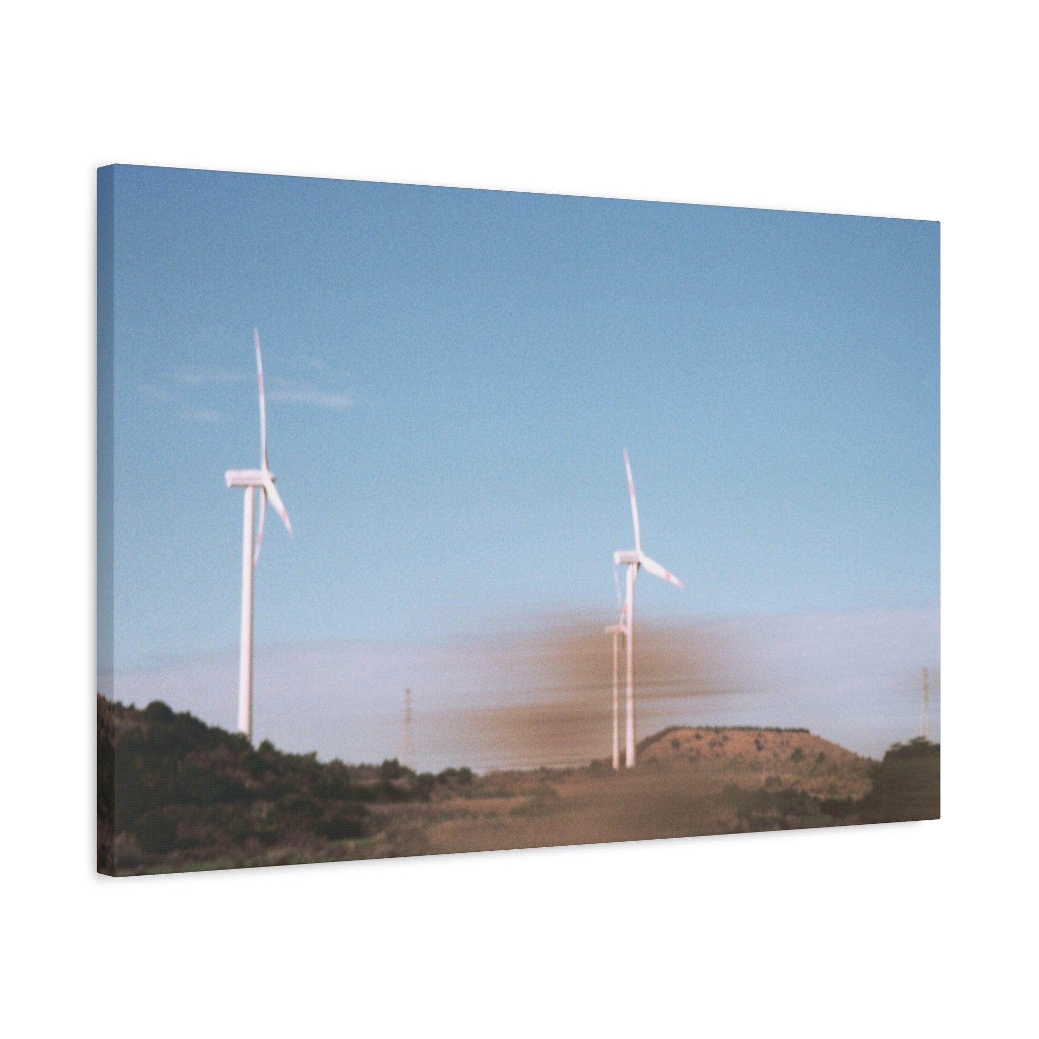 Jeju Winter Silver Grass Canvas Print