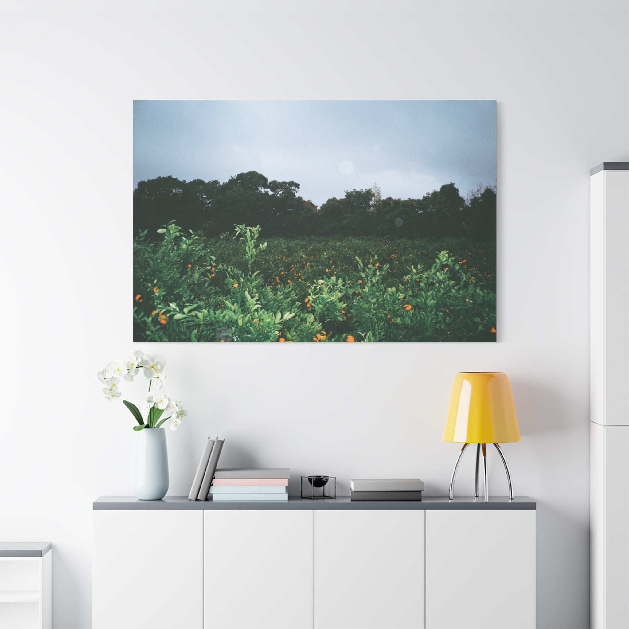 Jeju Winter Snowy Tangerine Orchard Canvas Print