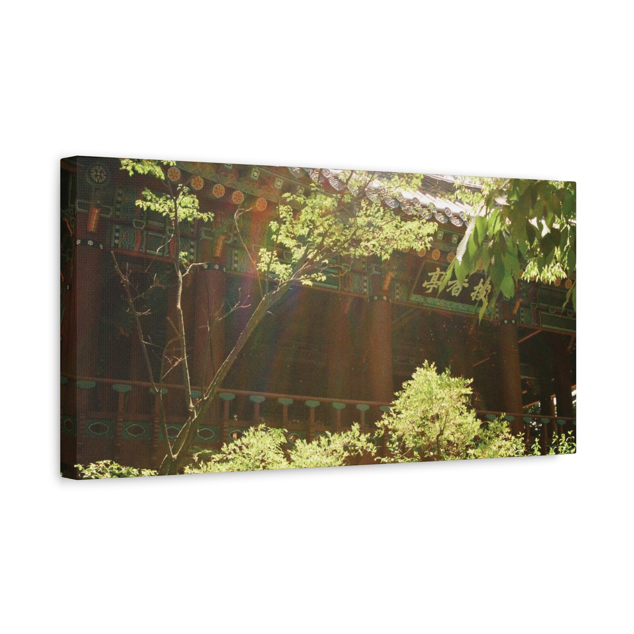 Korean Hanok Spring Sunshine Canvas Print