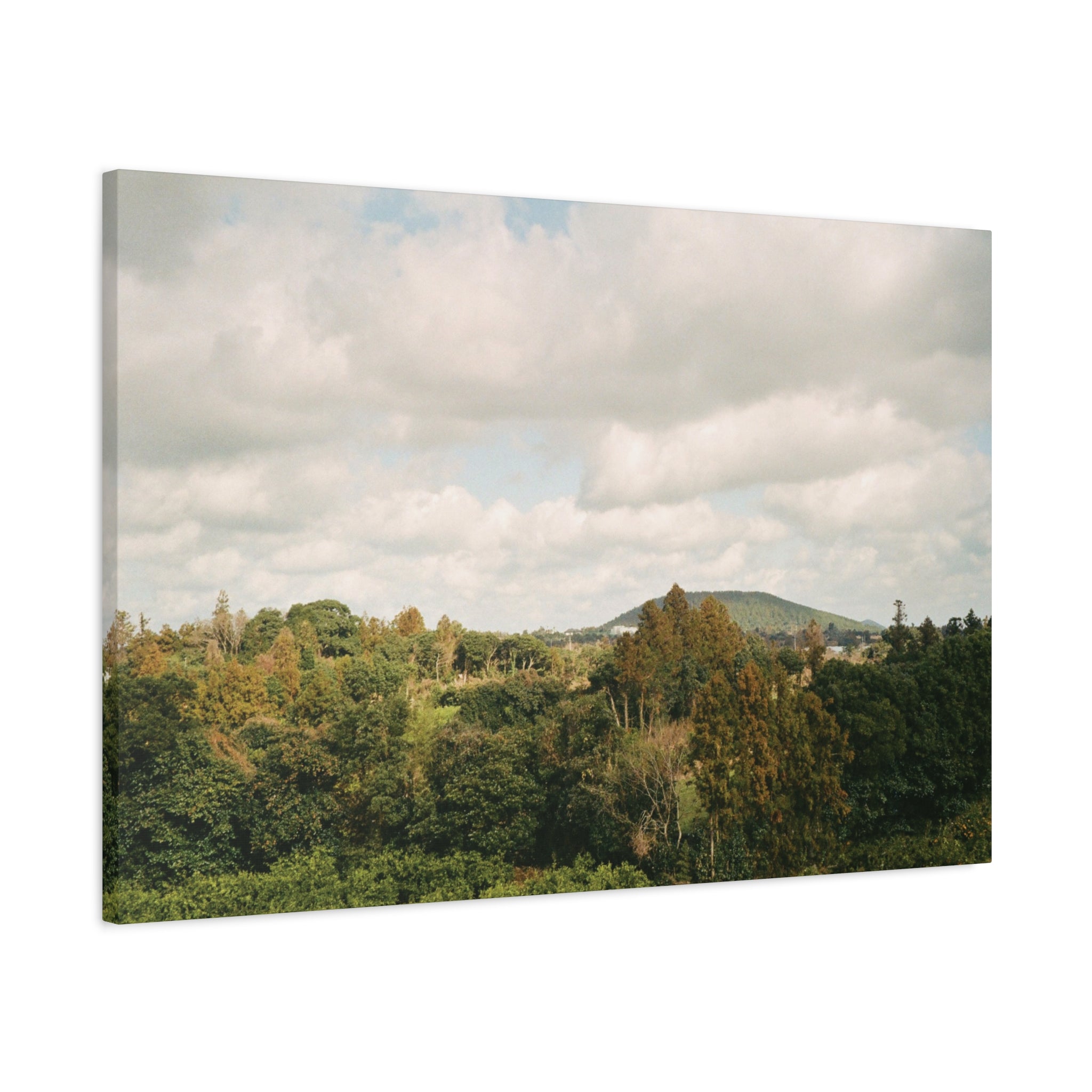 Jeju Wind-Swept Oreum and Clouds Canvas Print