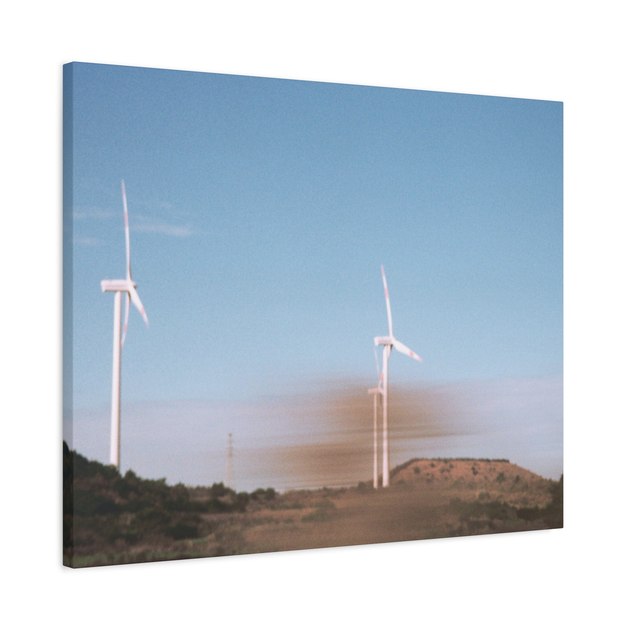 Jeju Winter Silver Grass Canvas Print