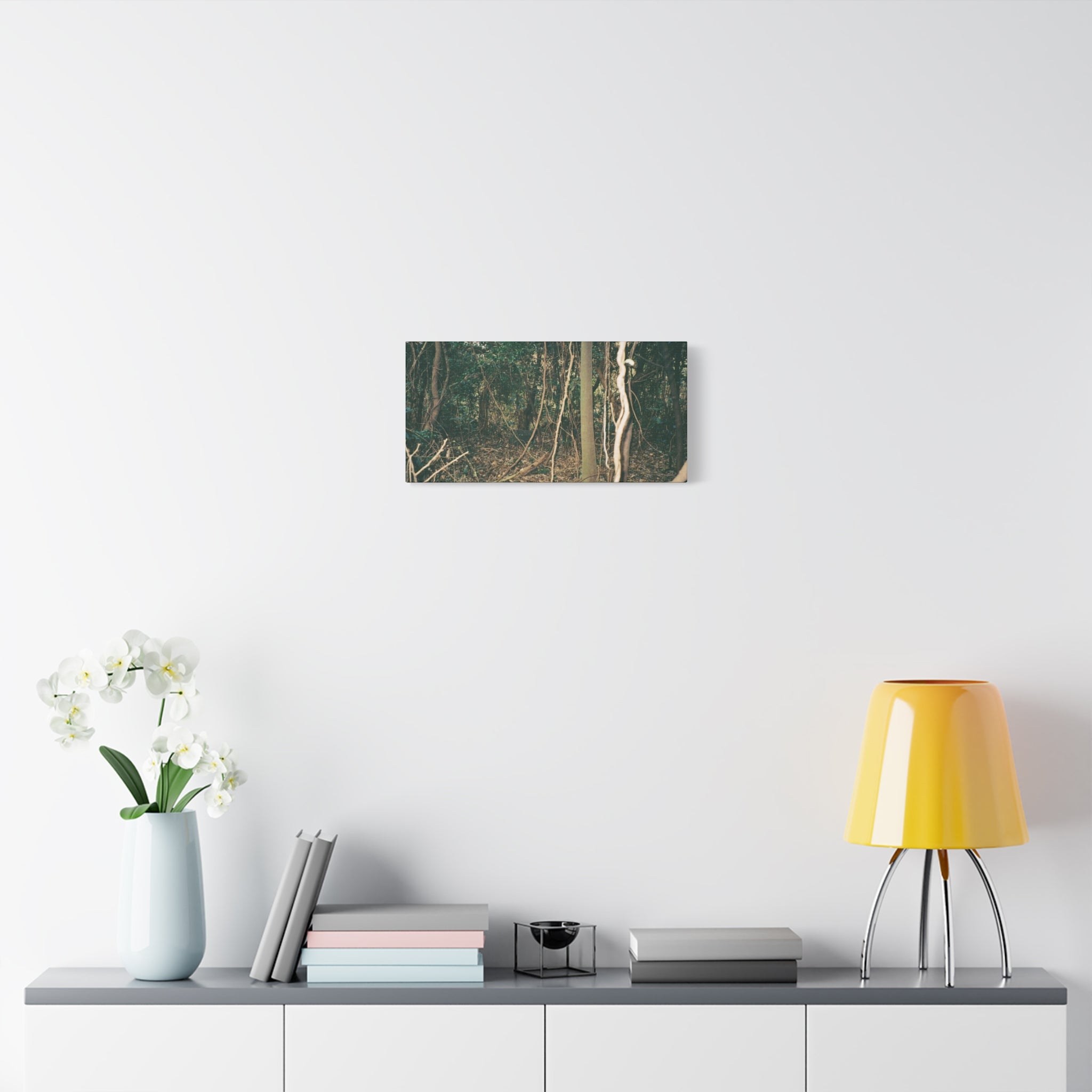 Jeju Gotjawal Forest Canvas Print