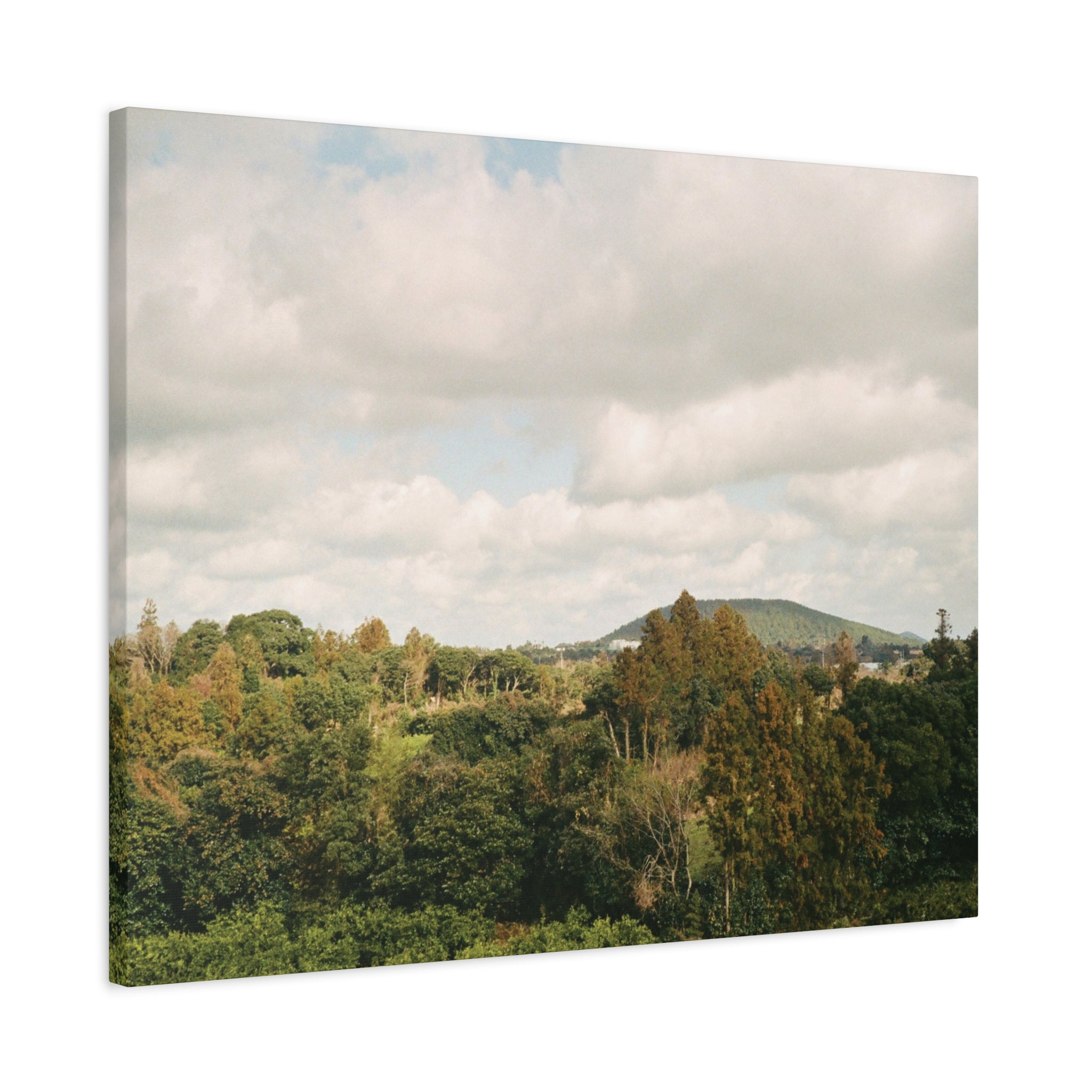 Jeju Wind-Swept Oreum and Clouds Canvas Print