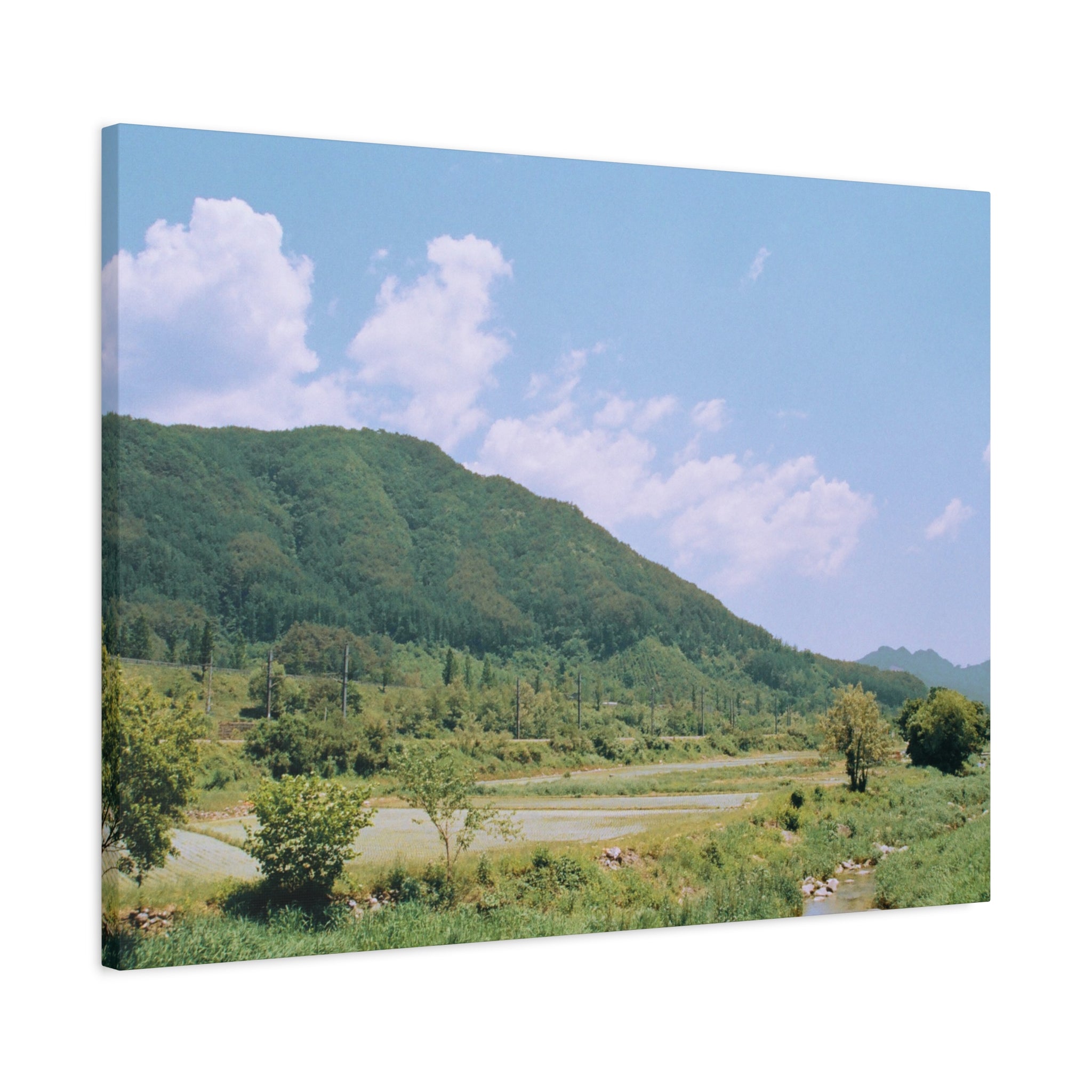 Wonju Spring Stream Pastel Landscape Canvas Print