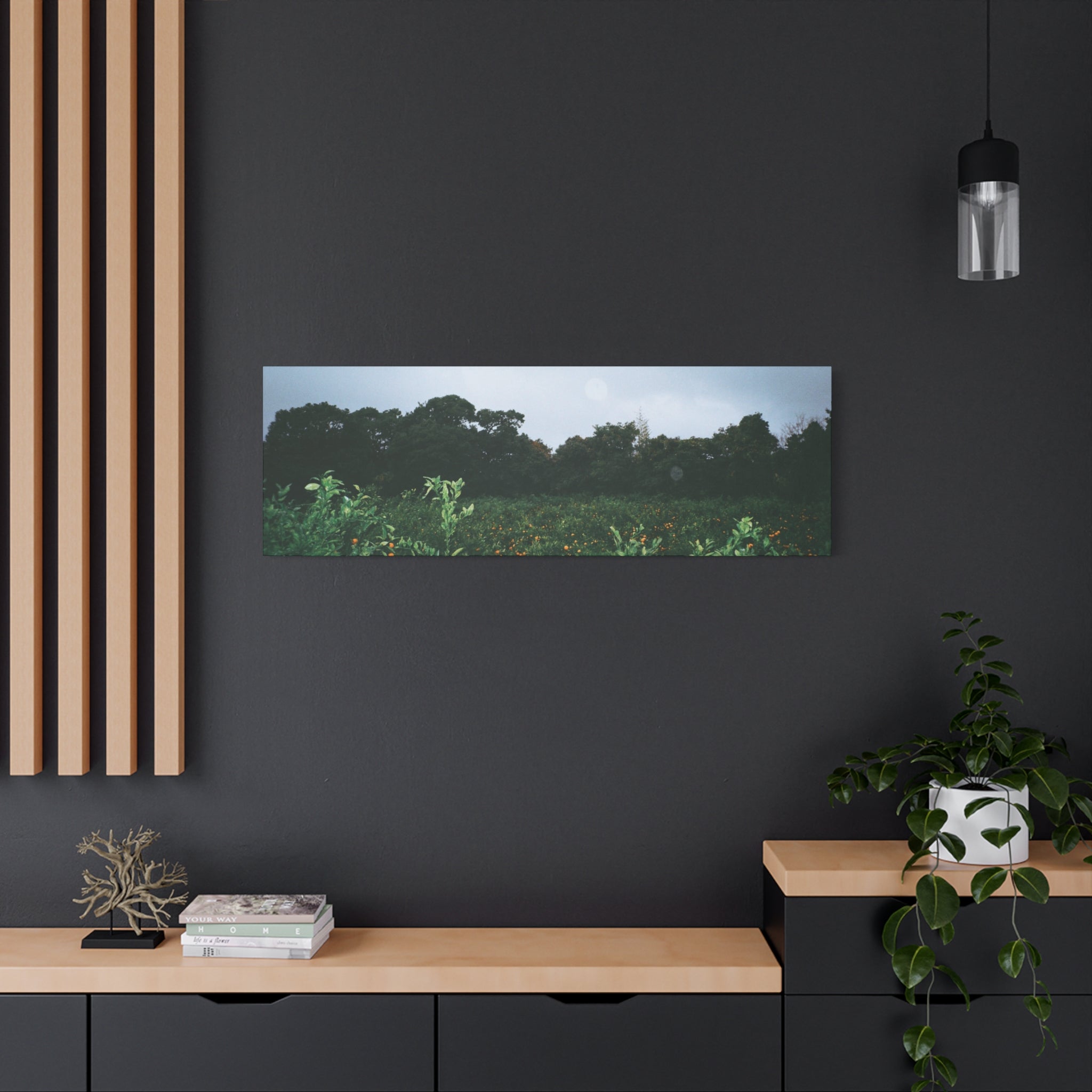 Jeju Winter Snowy Tangerine Orchard Canvas Print