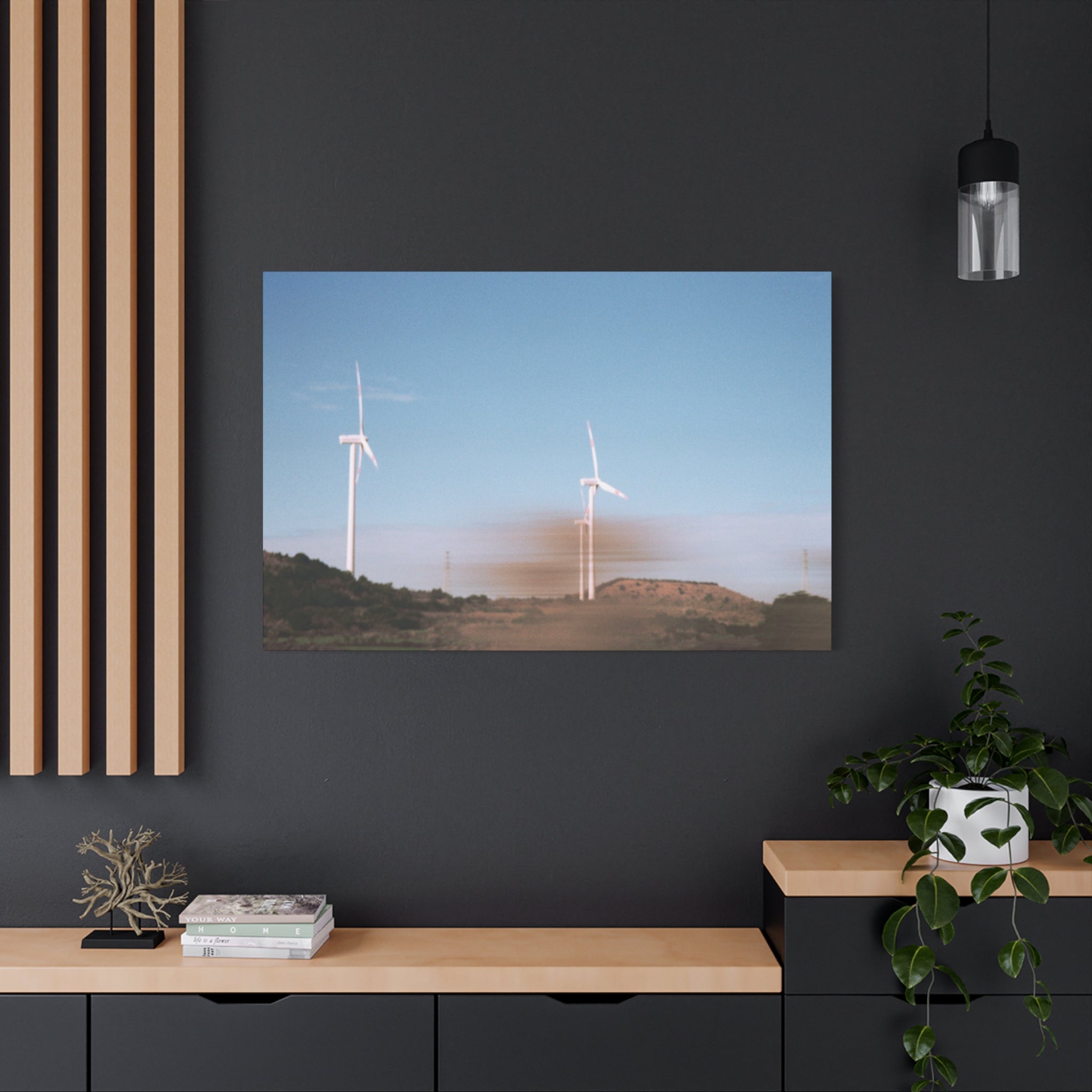Jeju Winter Silver Grass Canvas Print