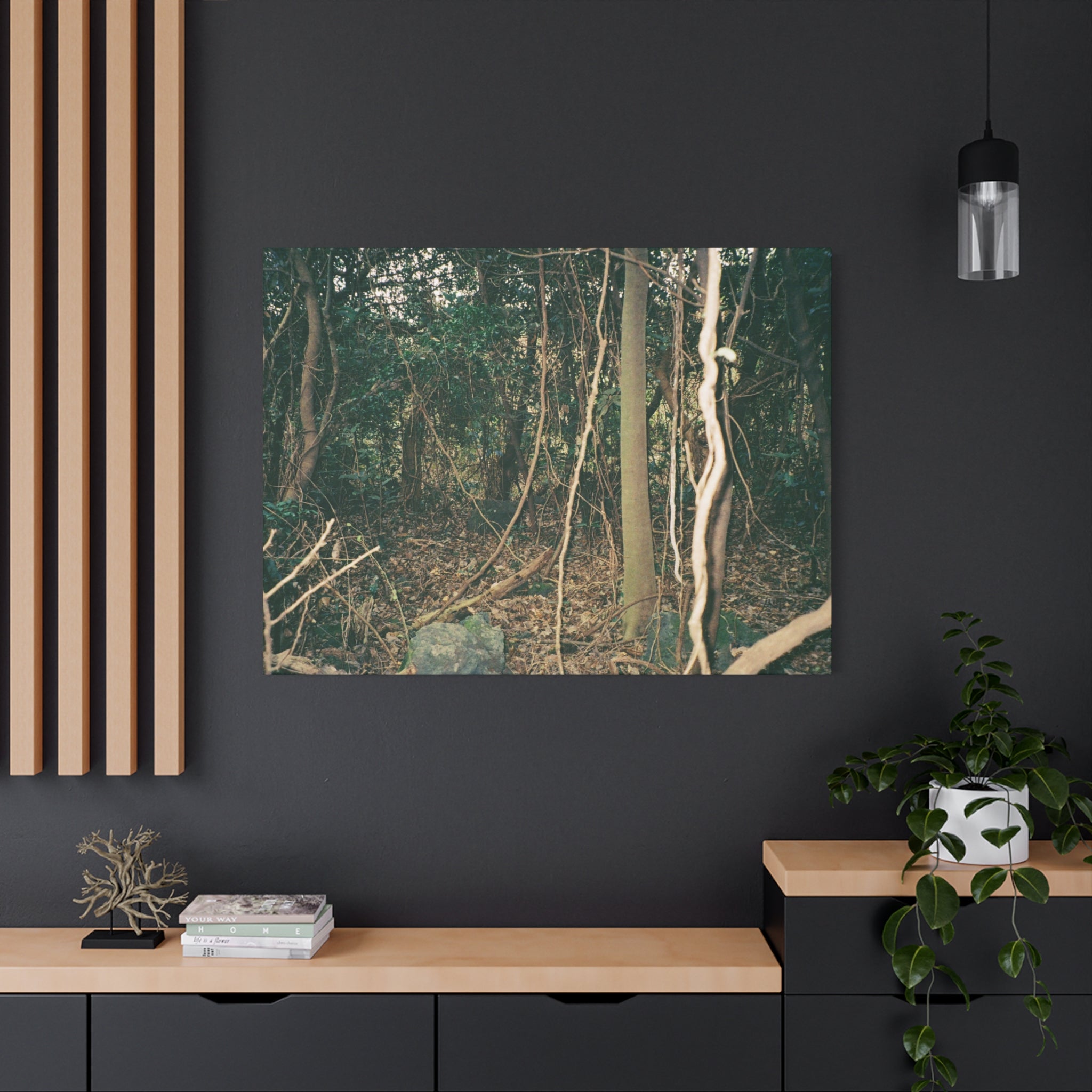 Jeju Gotjawal Forest Canvas Print