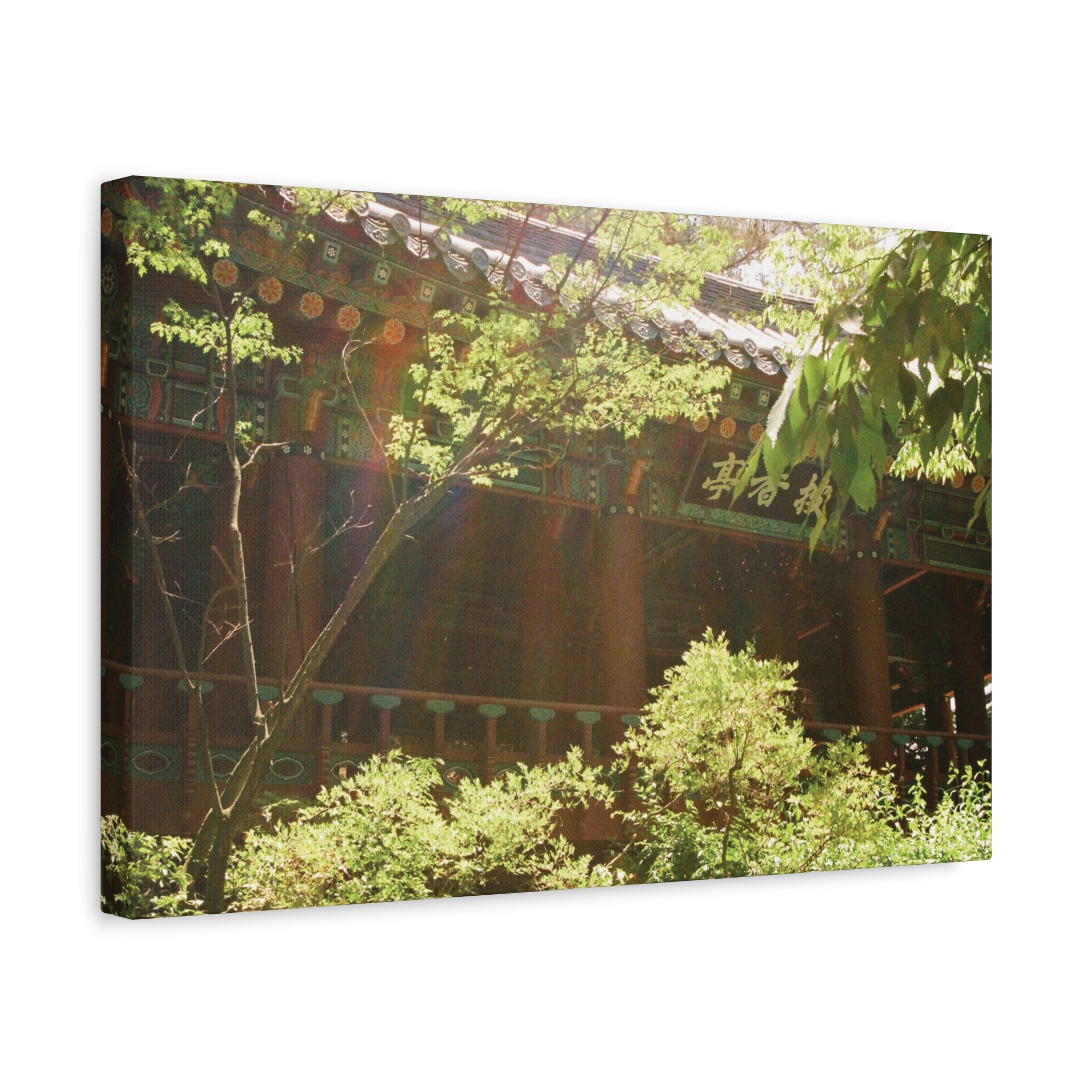 Korean Hanok Spring Sunshine Canvas Print