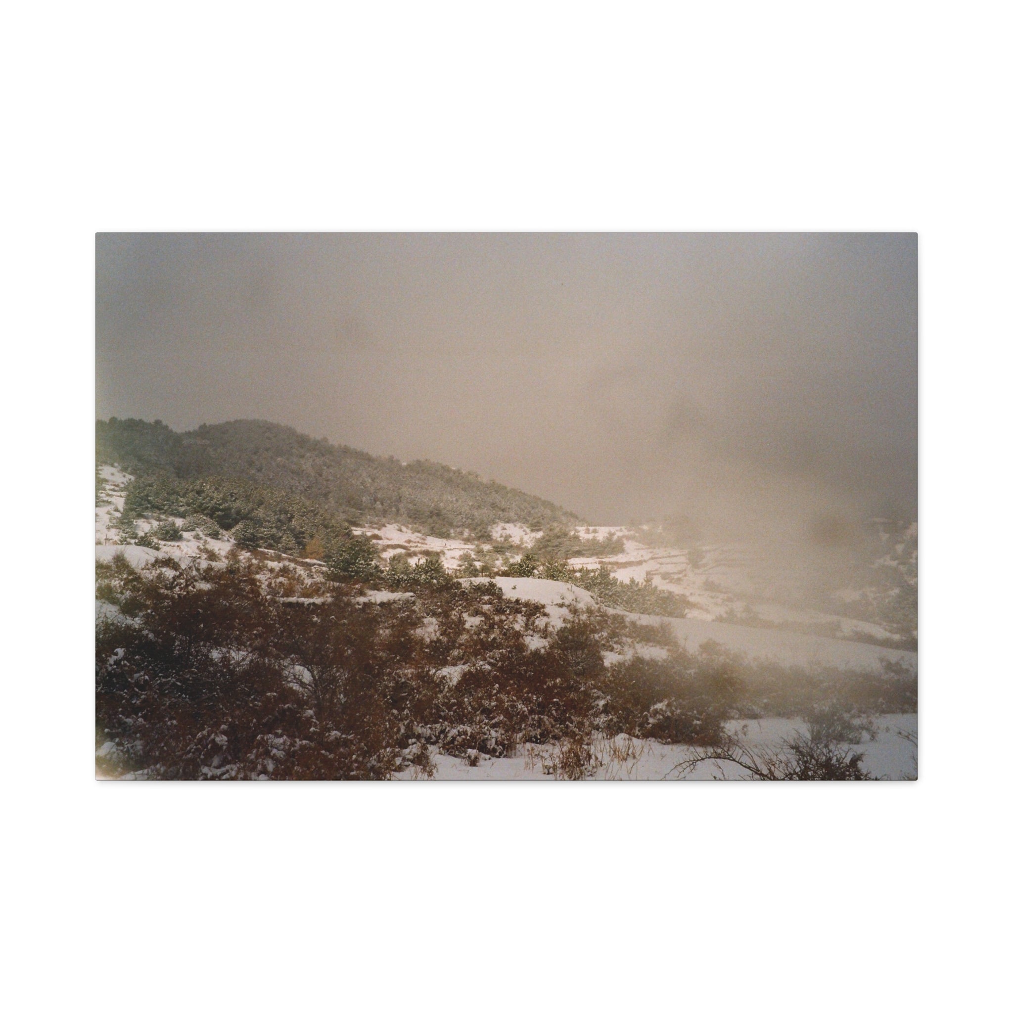 Jeju Snowy Oreum Winter Canvas Print — Evergreen Pine Forest on Snowy Day (Matte Stretched)