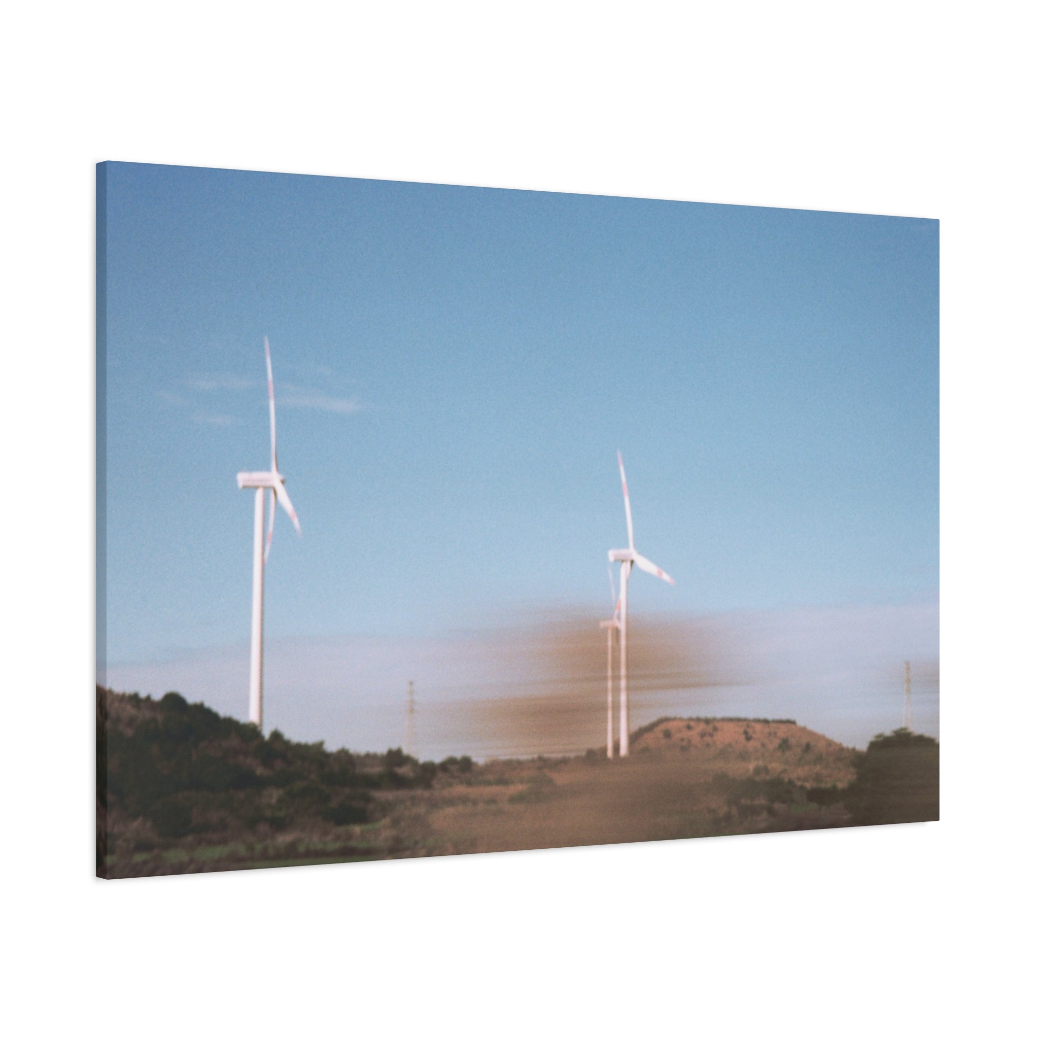 Jeju Winter Silver Grass Canvas Print