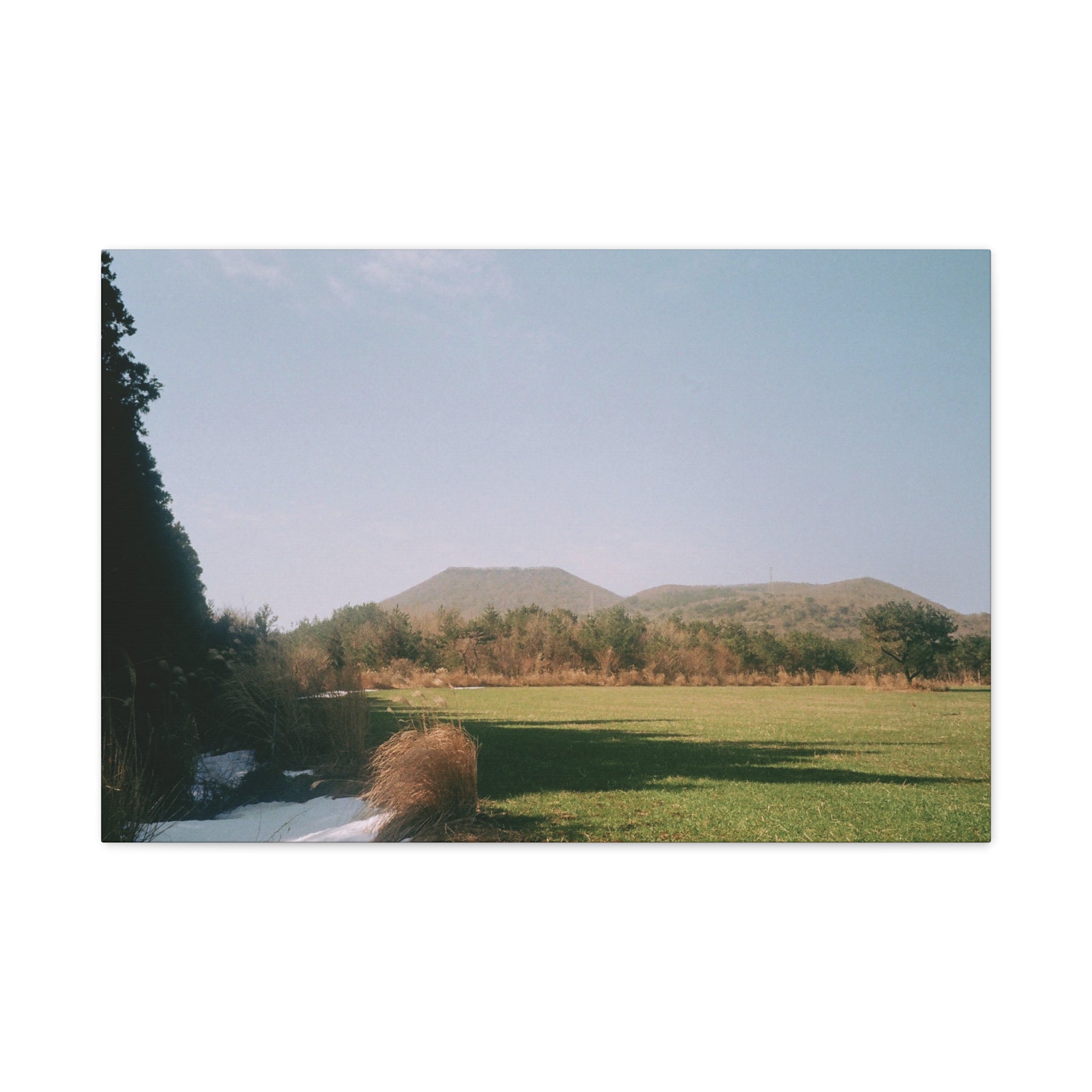 Jeju Winter Oreum Canvas Print — Stretched Matte Wall Art (Field & Forest)