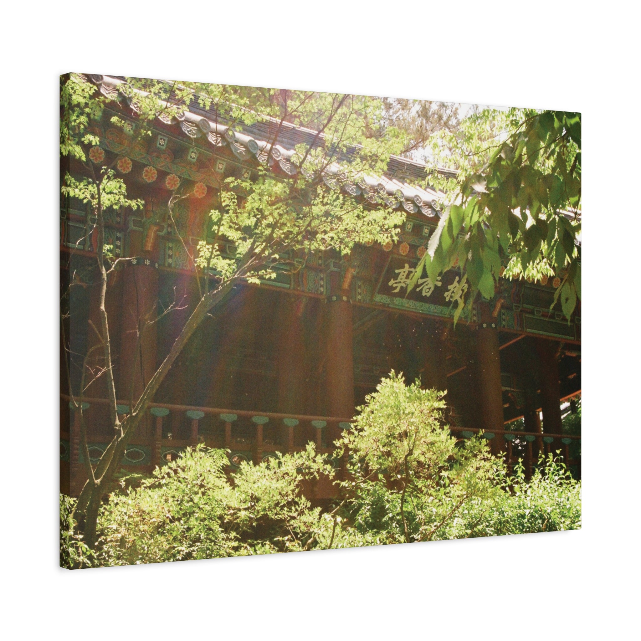 Korean Hanok Spring Sunshine Canvas Print