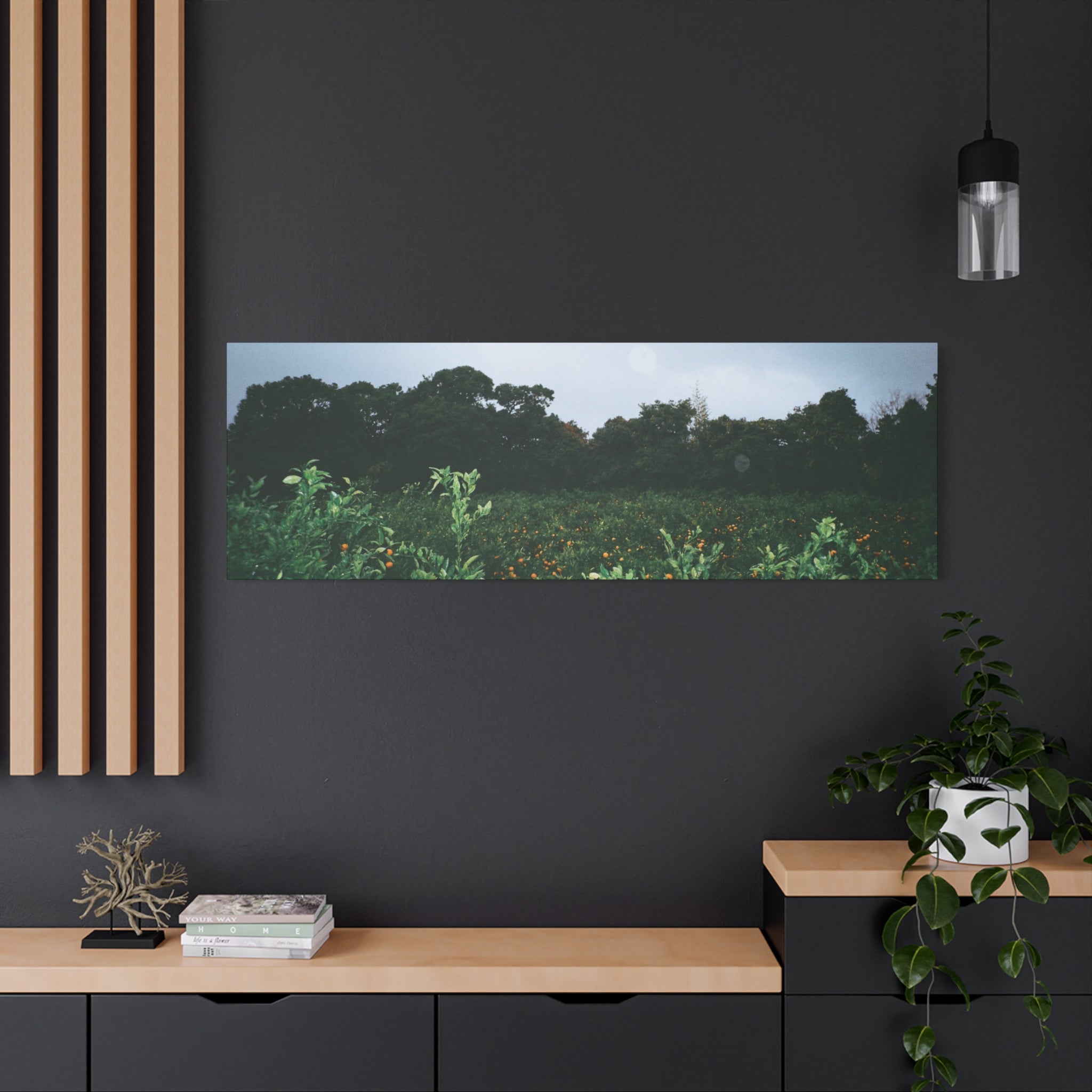 Jeju Winter Snowy Tangerine Orchard Canvas Print