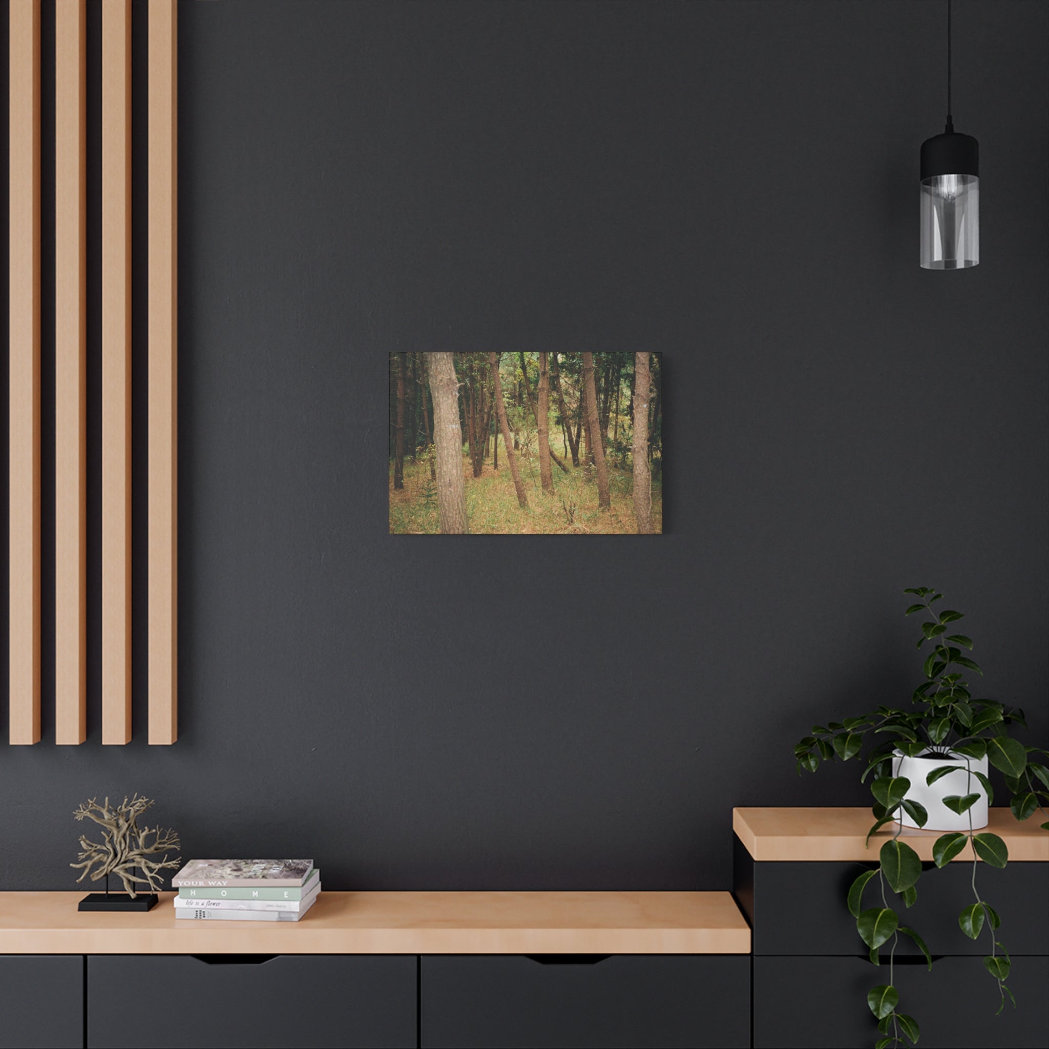Jeju Gungdae Oreum Forest Canvas Print