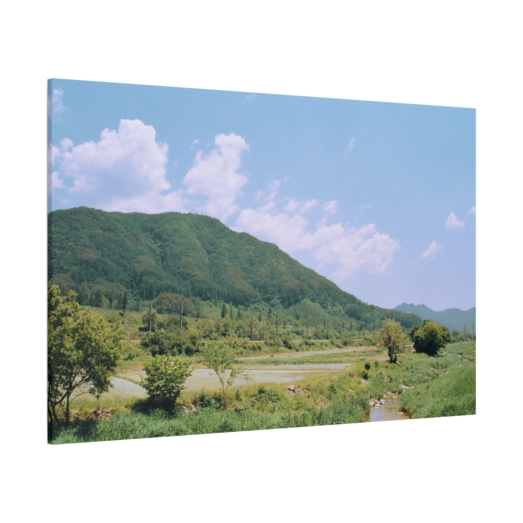 Wonju Spring Stream Pastel Landscape Canvas Print