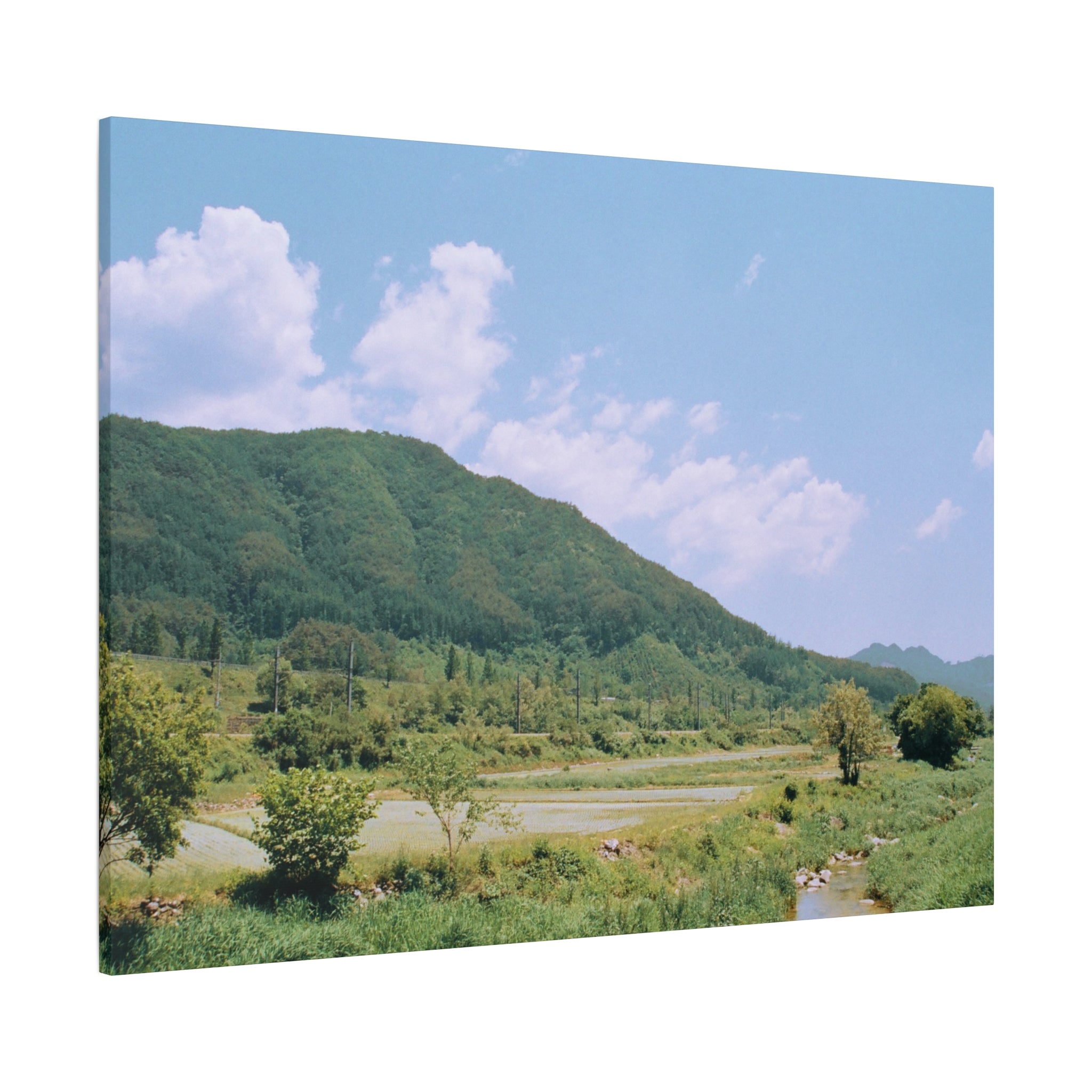 Wonju Spring Stream Pastel Landscape Canvas Print