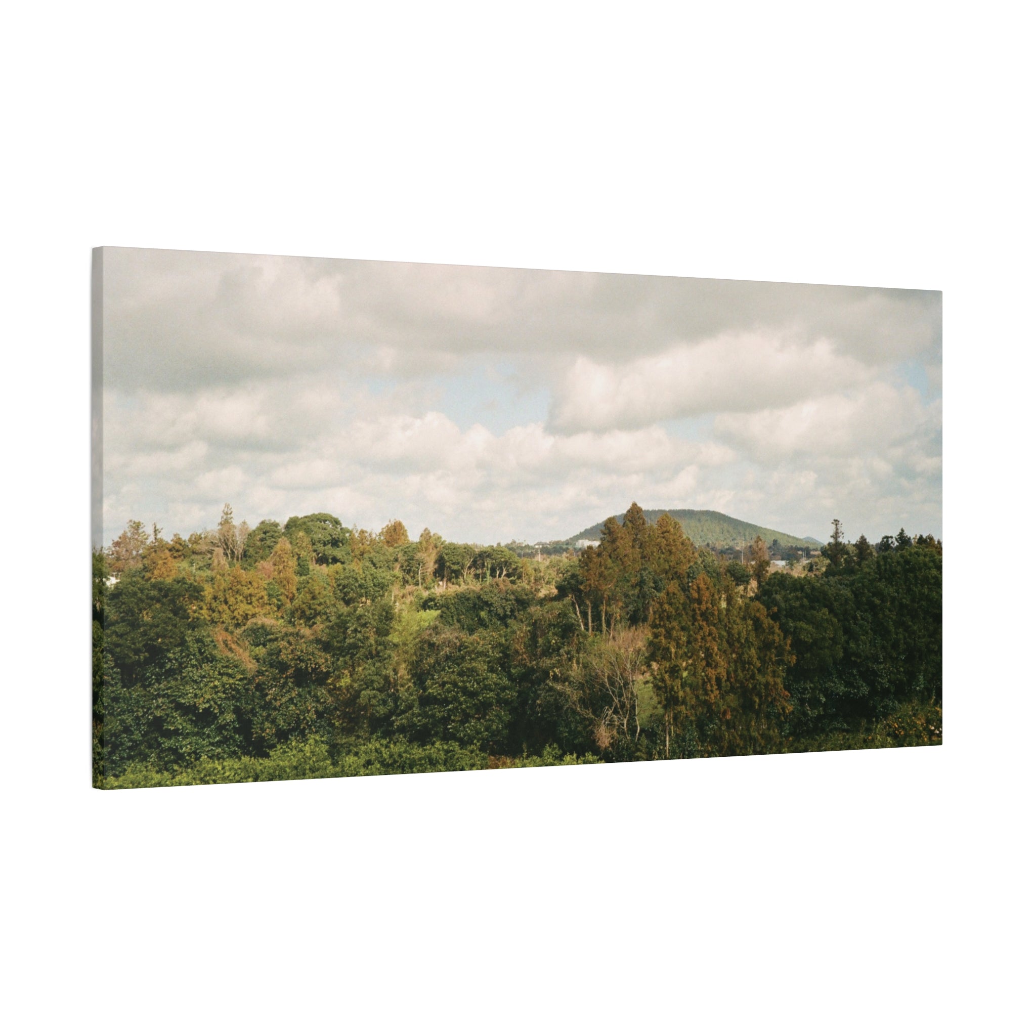 Jeju Wind-Swept Oreum and Clouds Canvas Print