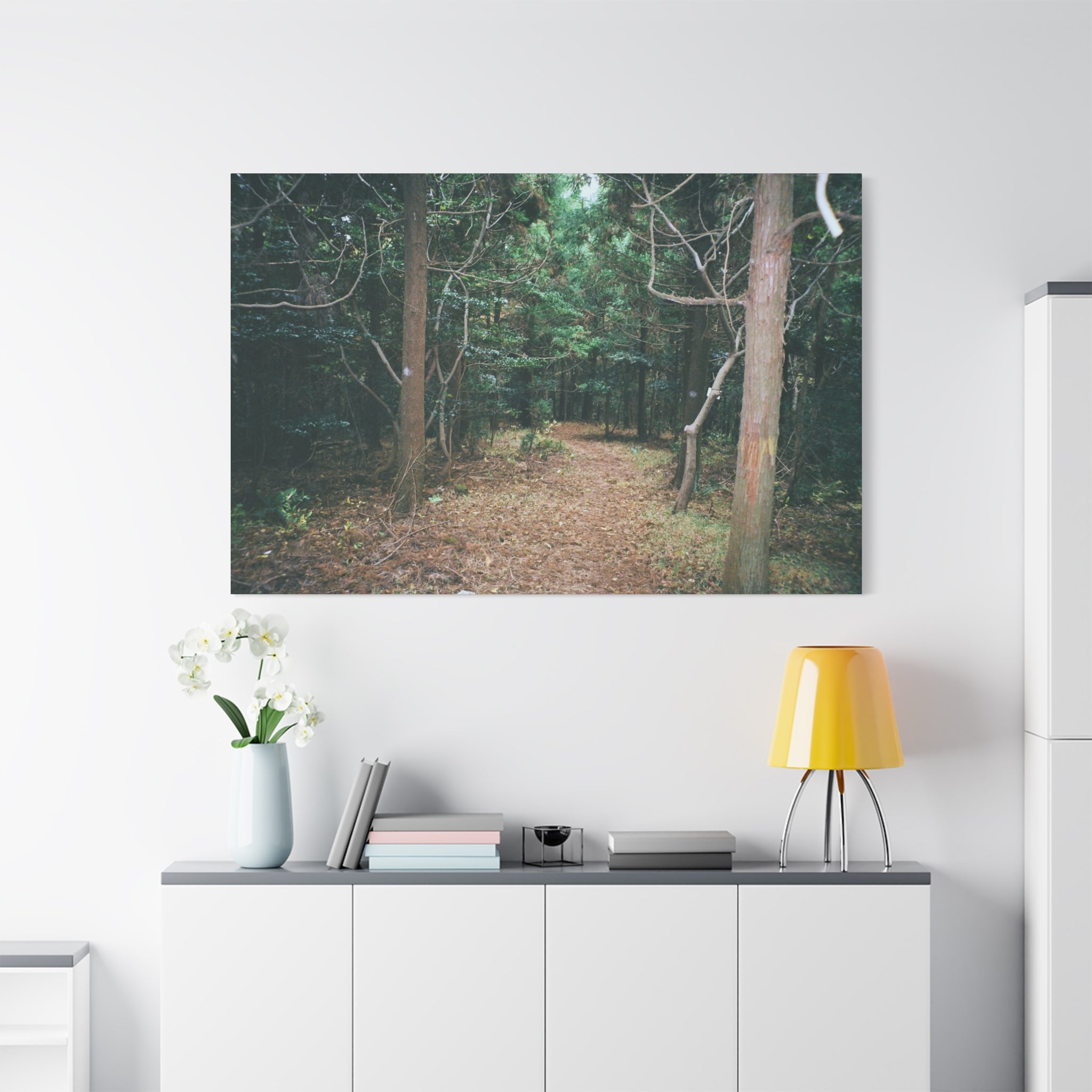 Jeju Winter Oreum Forest Canvas Print