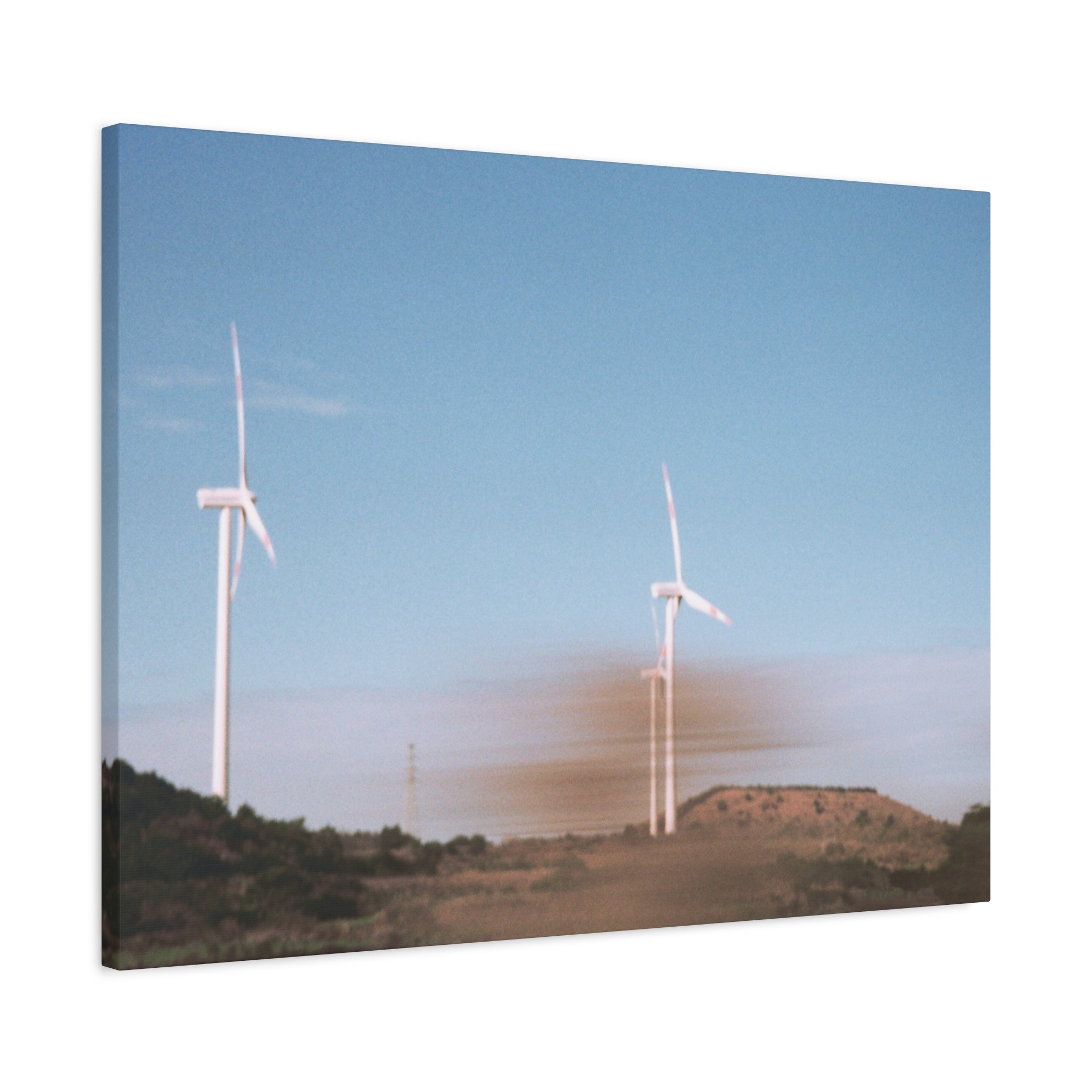 Jeju Winter Silver Grass Canvas Print