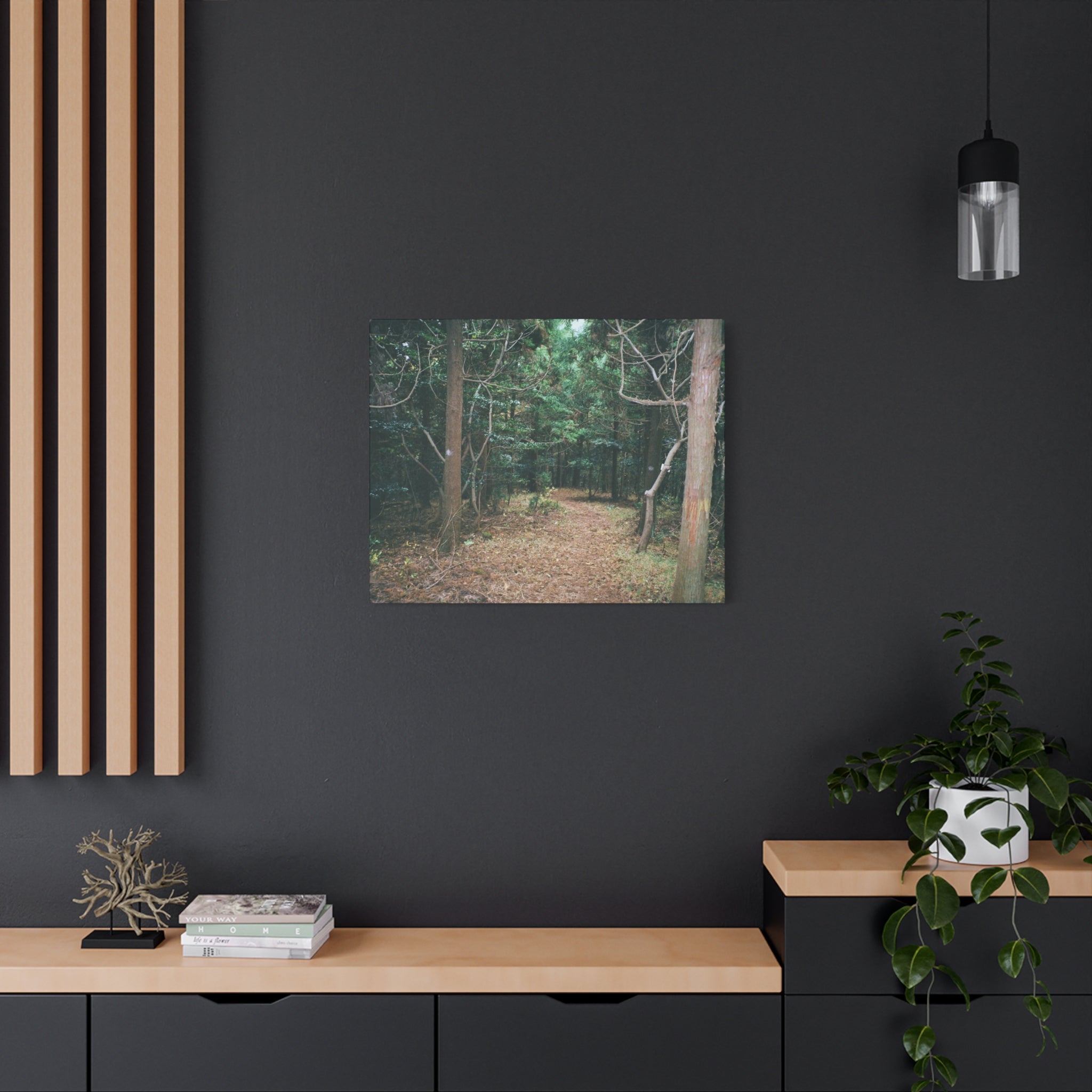 Jeju Winter Oreum Forest Canvas Print