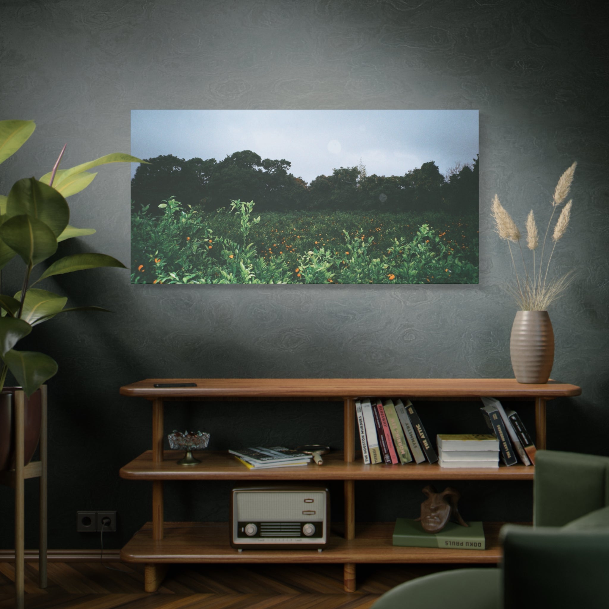 Jeju Winter Snowy Tangerine Orchard Canvas Print