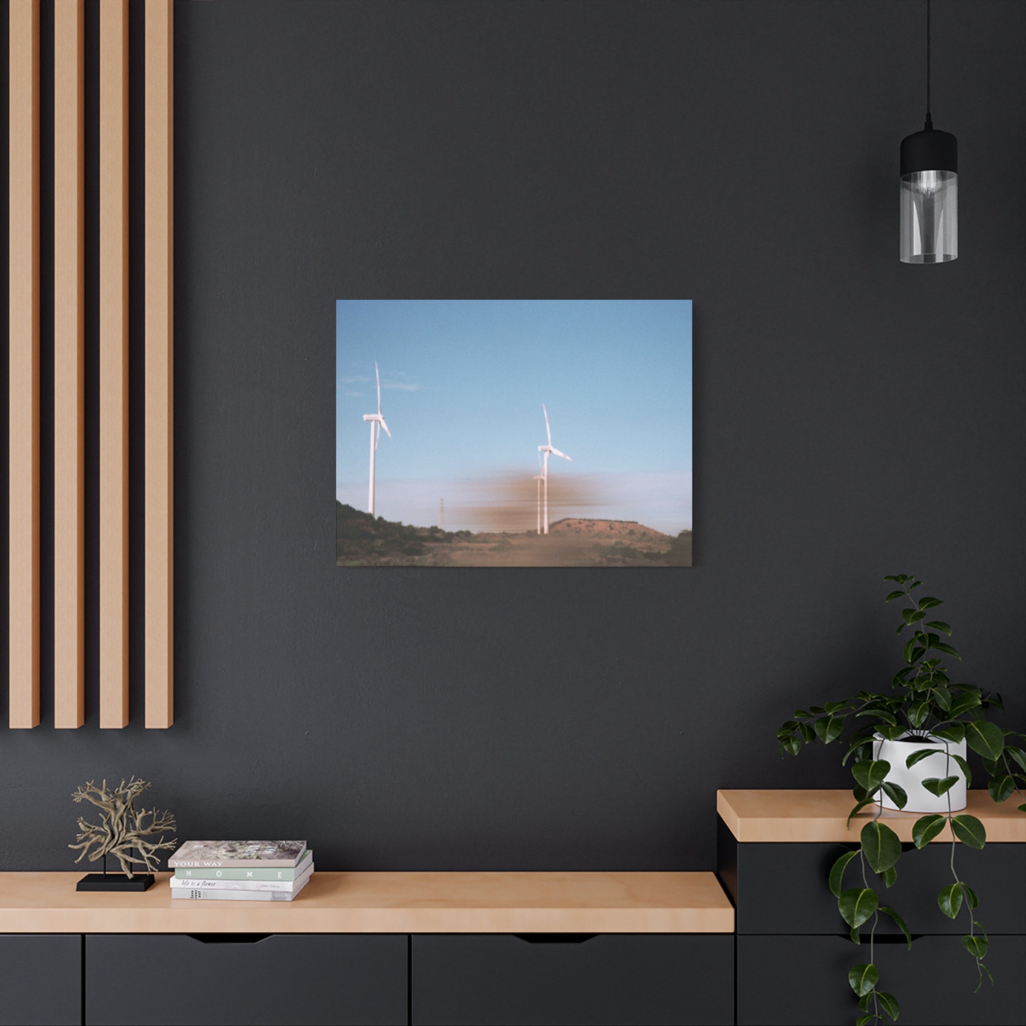 Jeju Winter Silver Grass Canvas Print