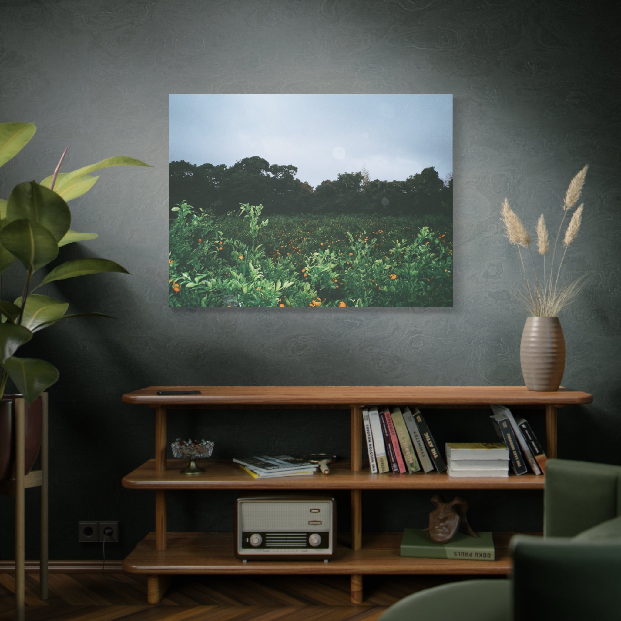 Jeju Winter Snowy Tangerine Orchard Canvas Print