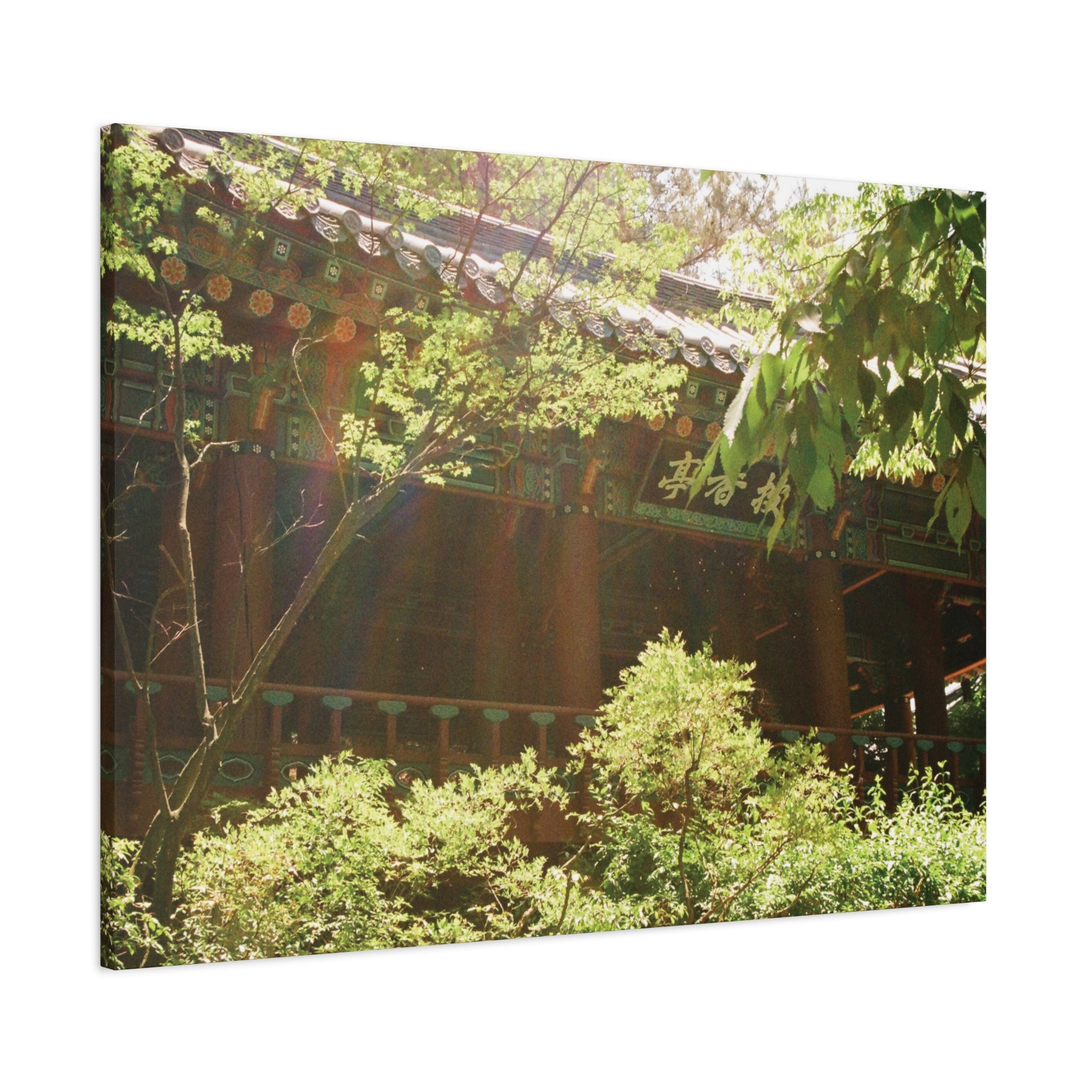 Korean Hanok Spring Sunshine Canvas Print