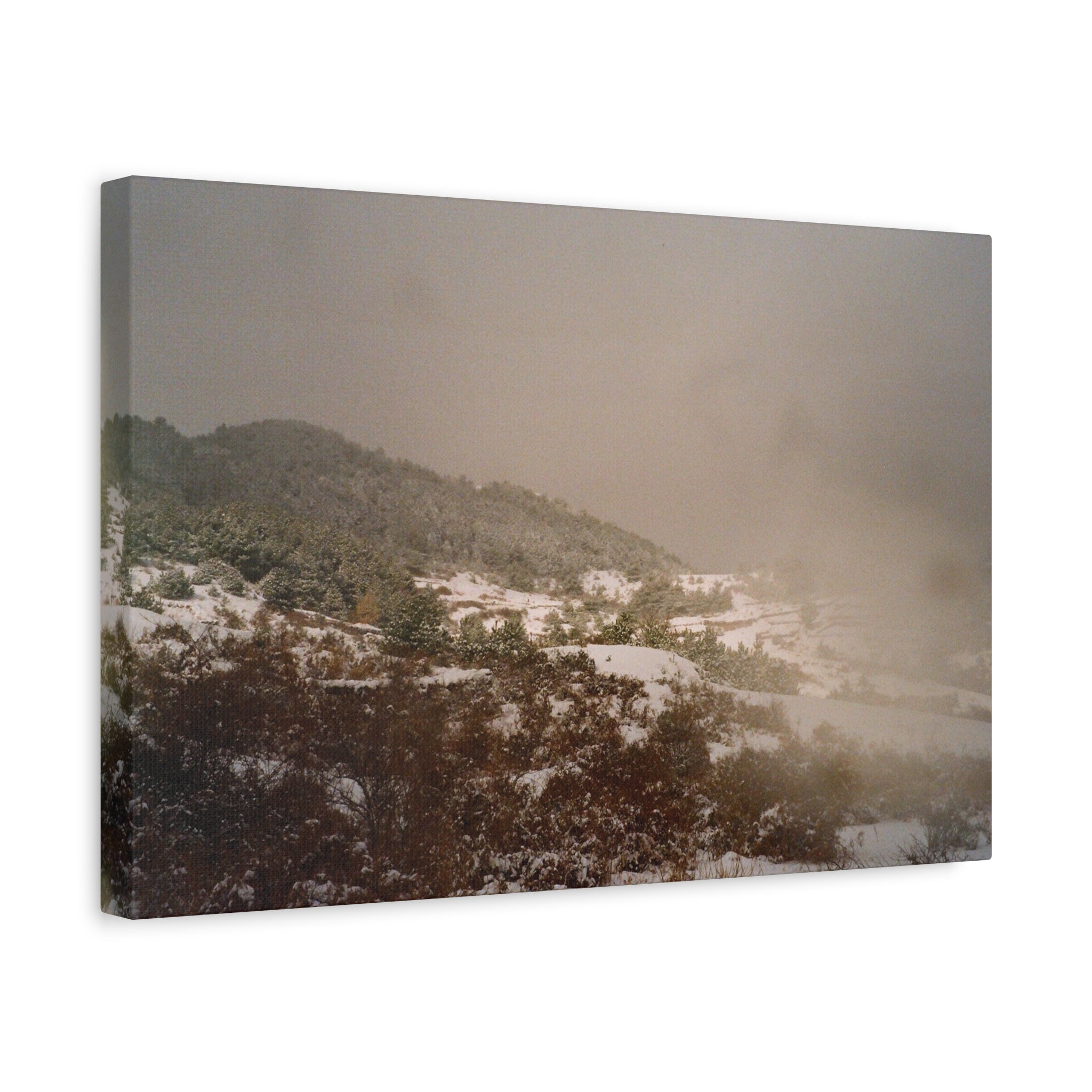 Jeju Snowy Oreum Winter Canvas Print — Evergreen Pine Forest on Snowy Day (Matte Stretched)