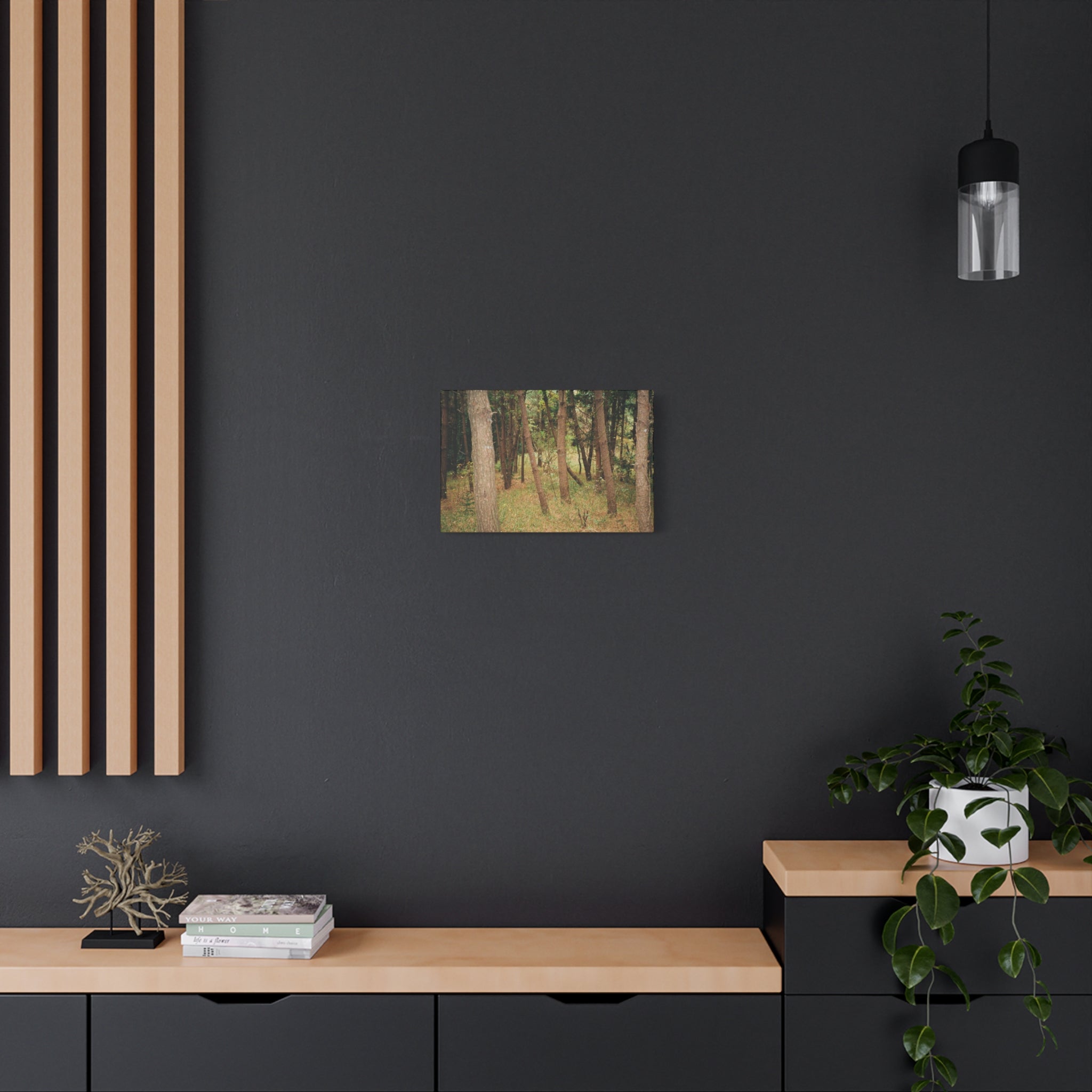 Jeju Gungdae Oreum Forest Canvas Print