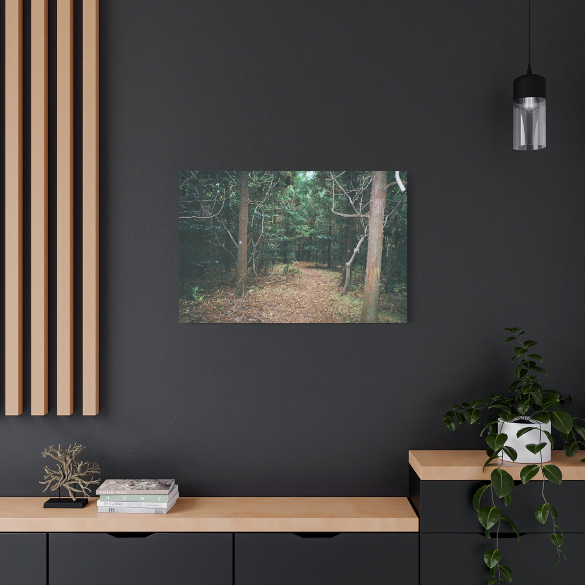 Jeju Winter Oreum Forest Canvas Print