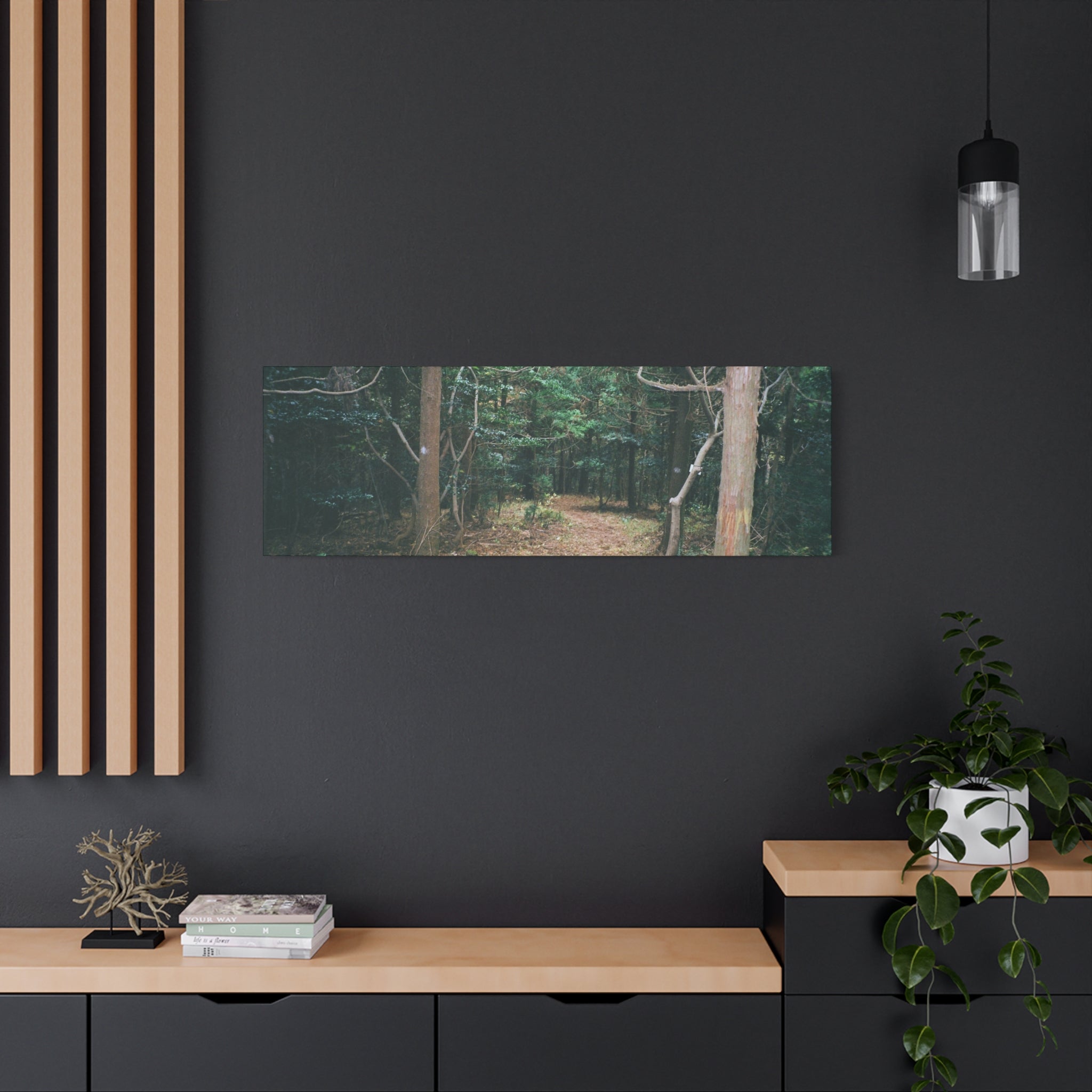 Jeju Winter Oreum Forest Canvas Print